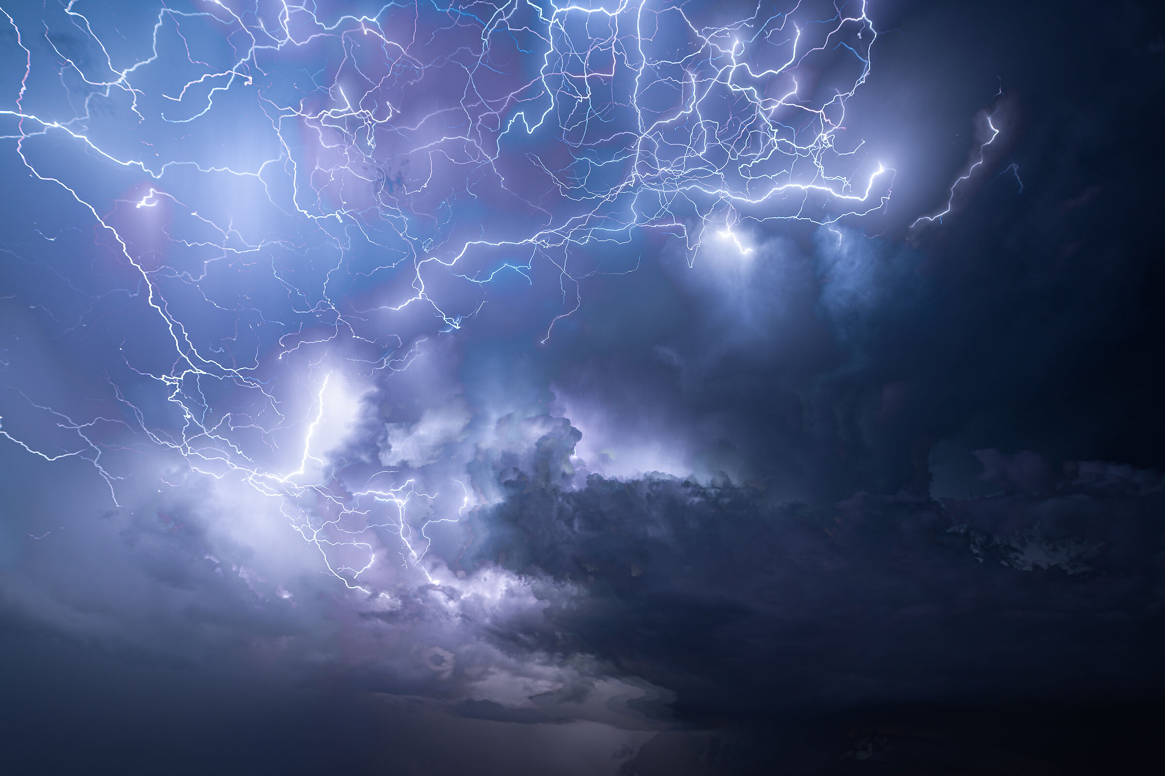 Electric evening