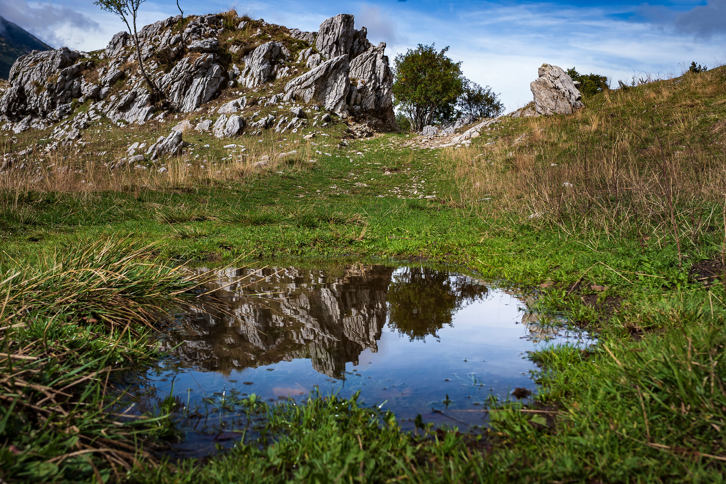 The sky in a puddle