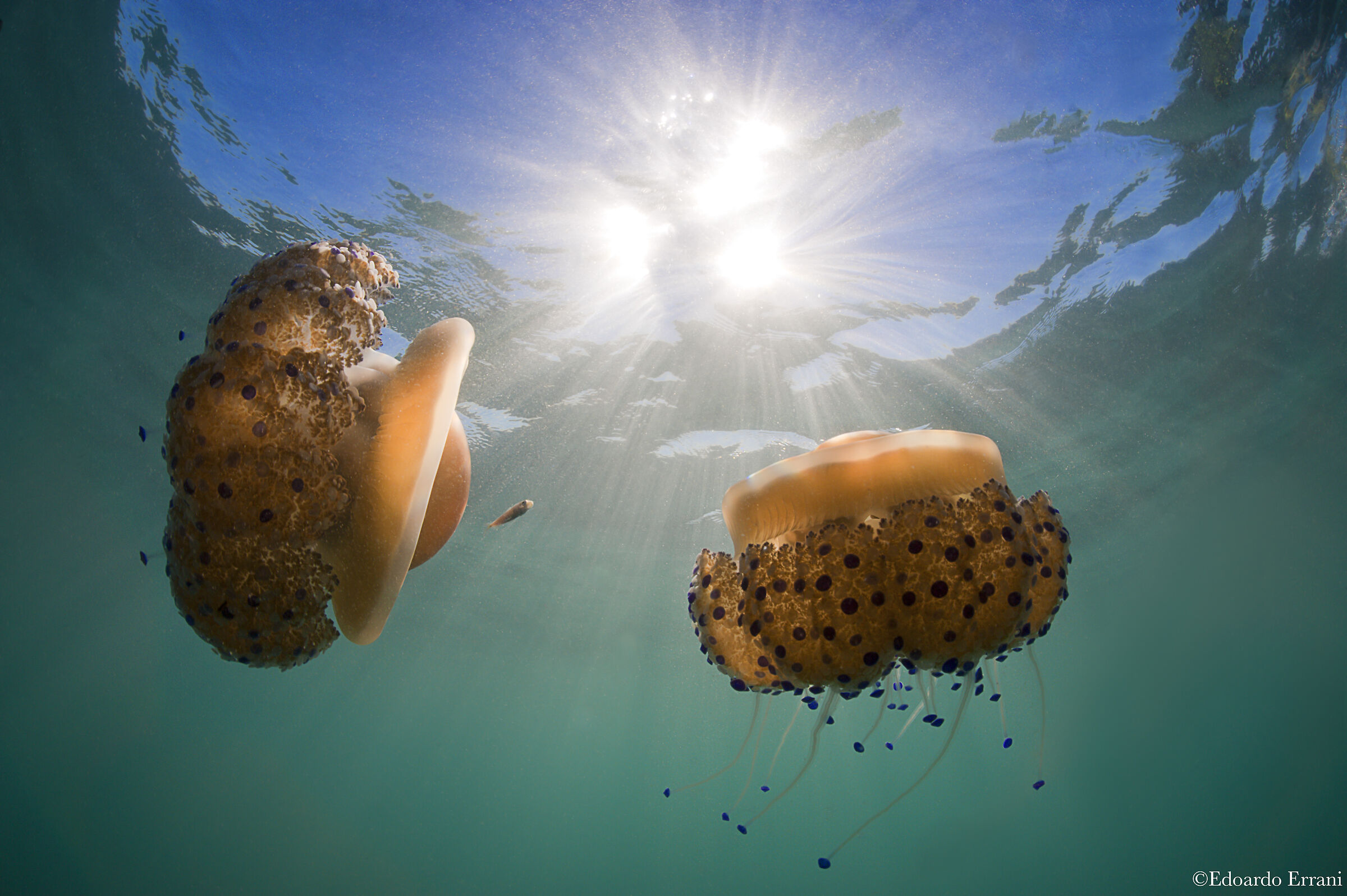 Cassiopeia between rays of sun
