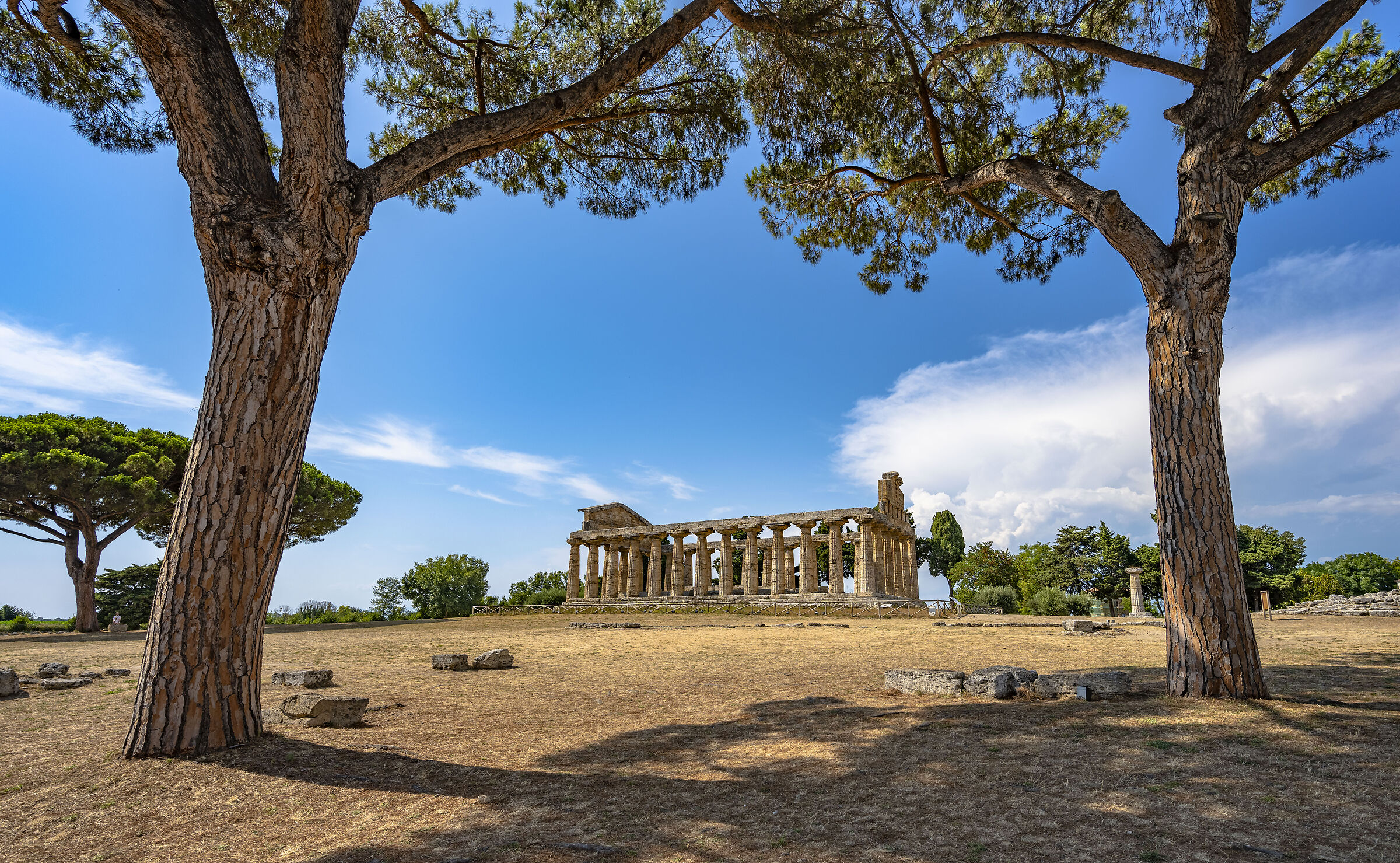 Paestum - Temple of Athena