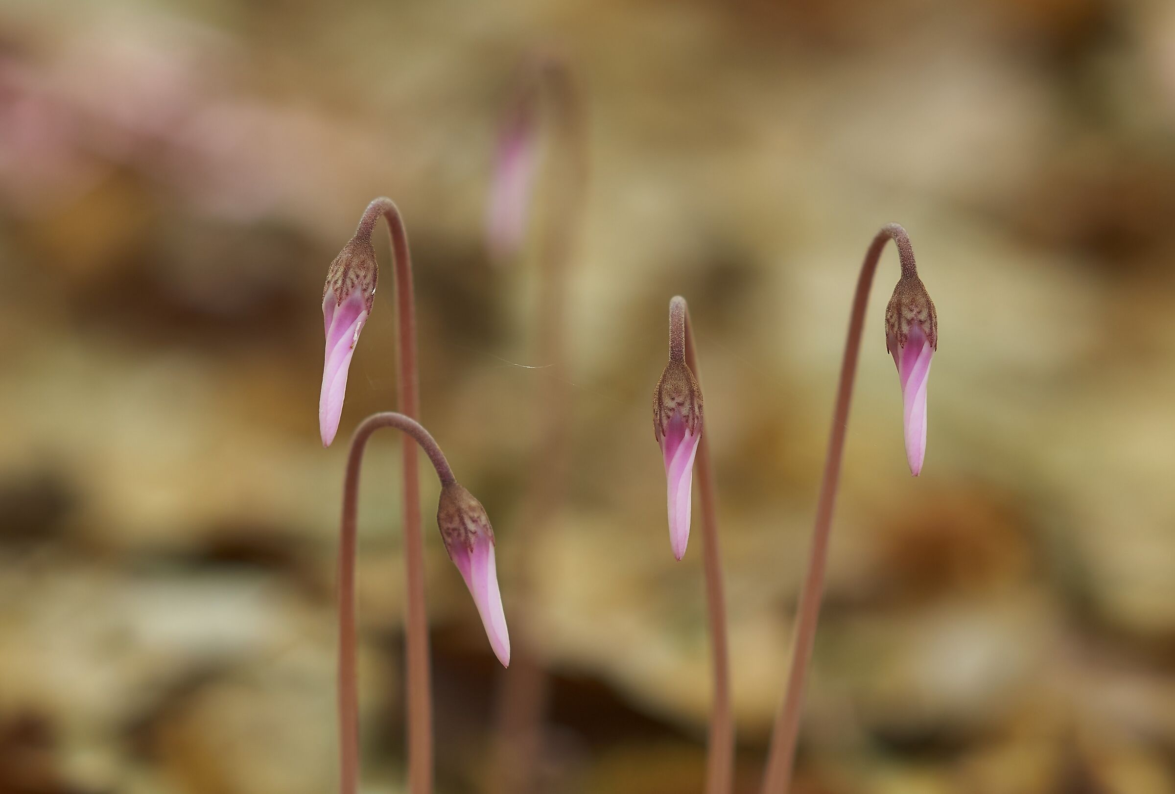 L'estate sta finendo(speriamo!)