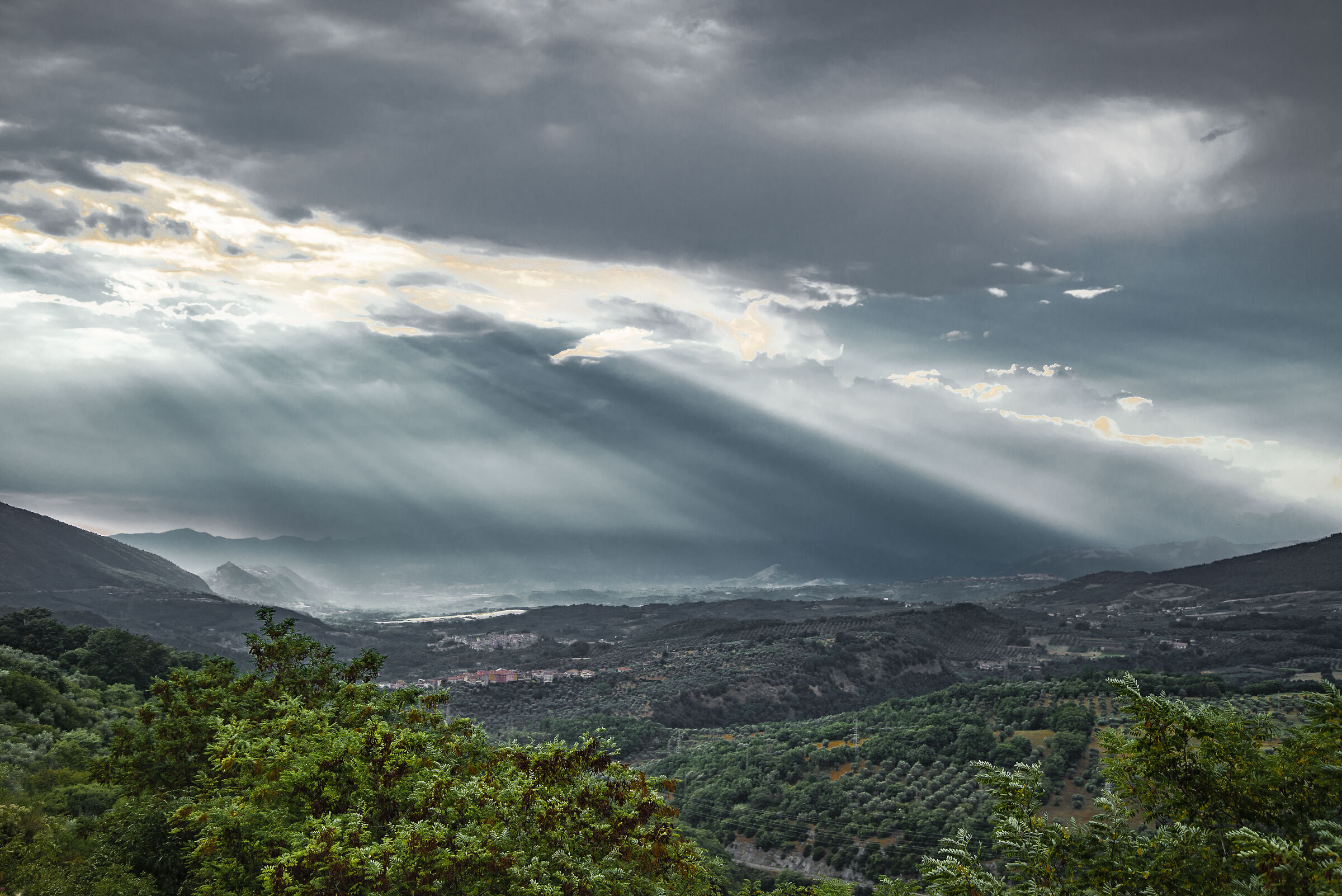 Lucania