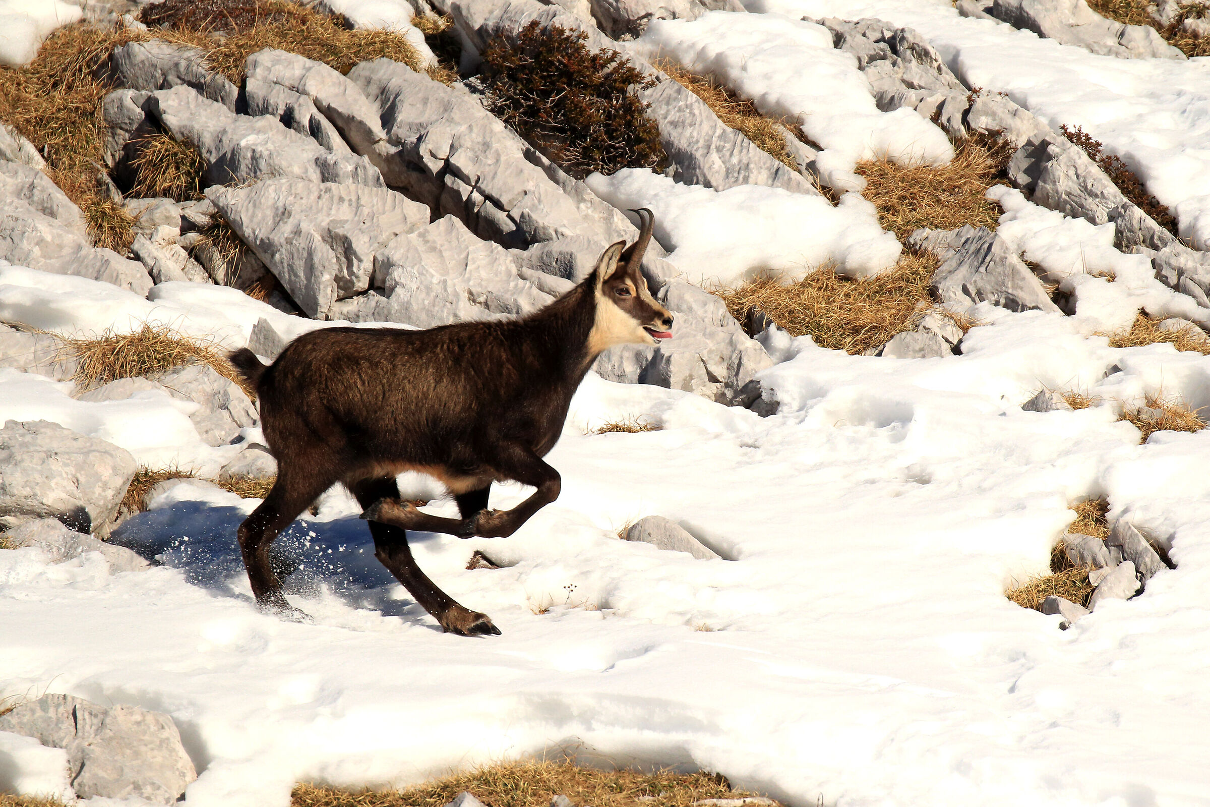 an extraordinary memory