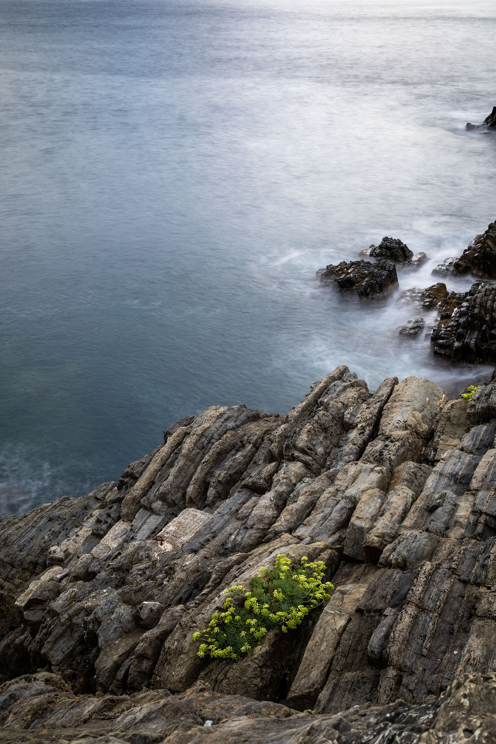Hotels in Riomaggiore