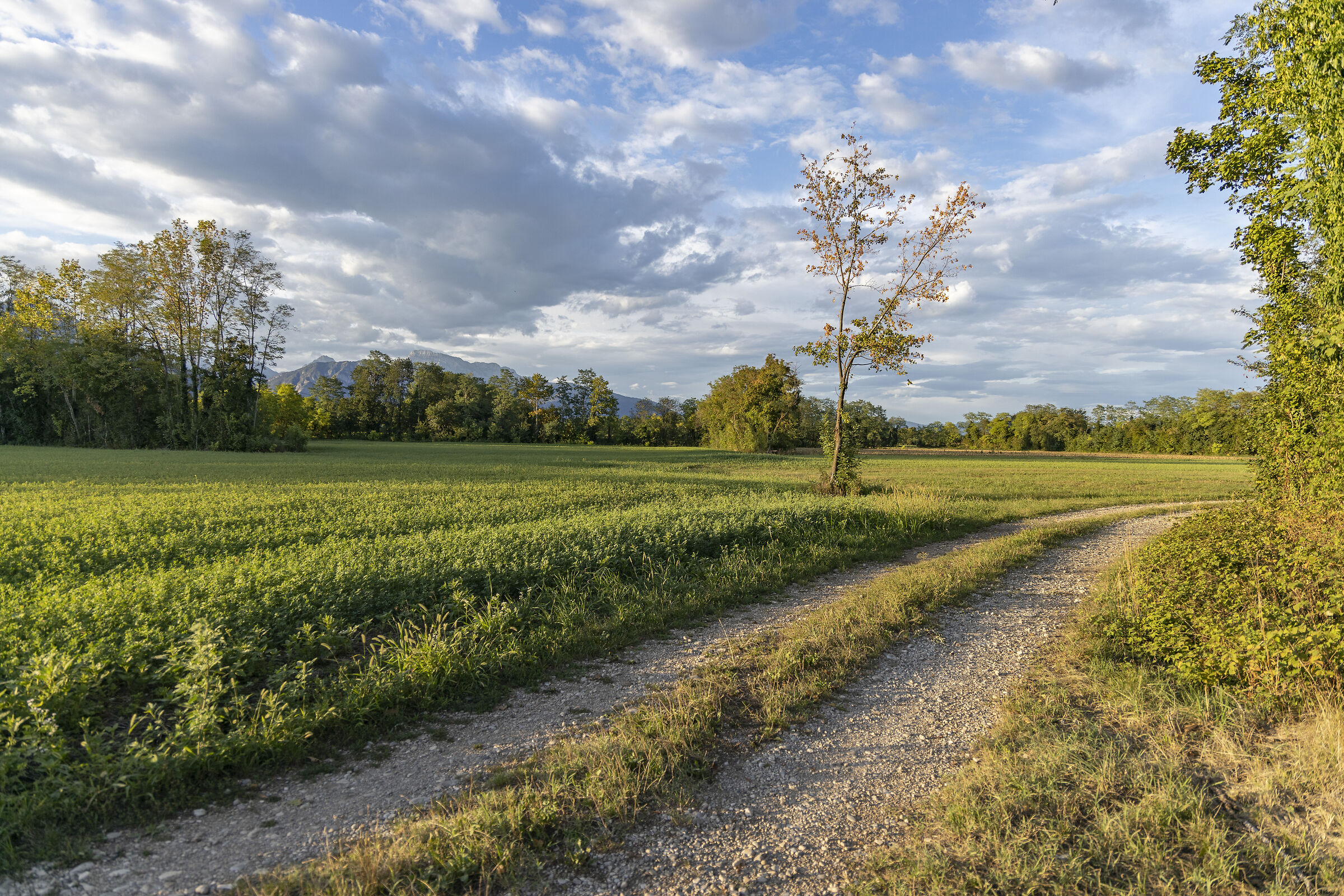 San Martino di Campegna