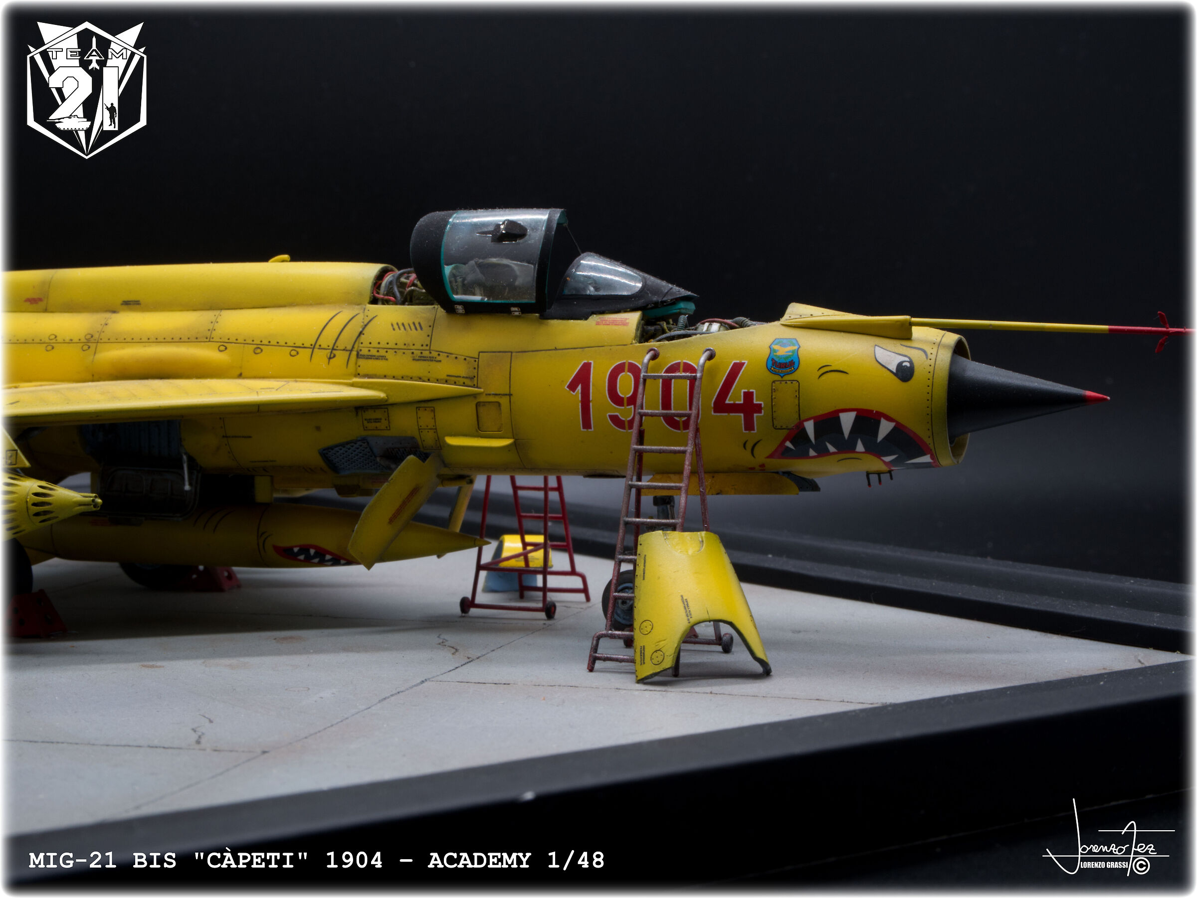 MIG-21 BIS 1904 1/48