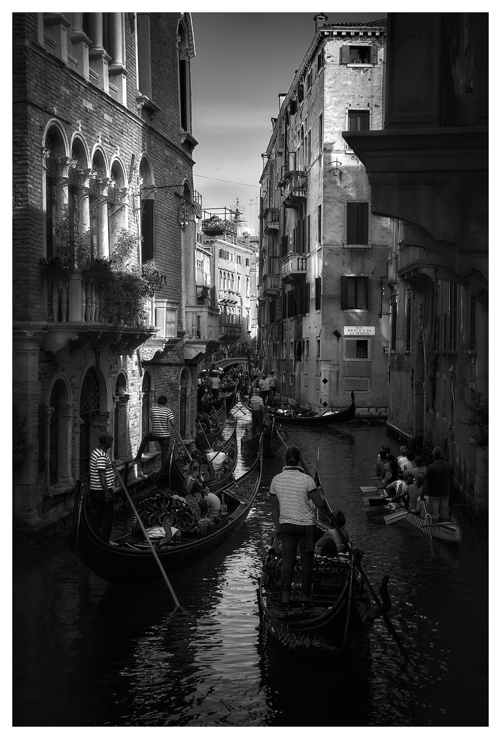 Venice bn
