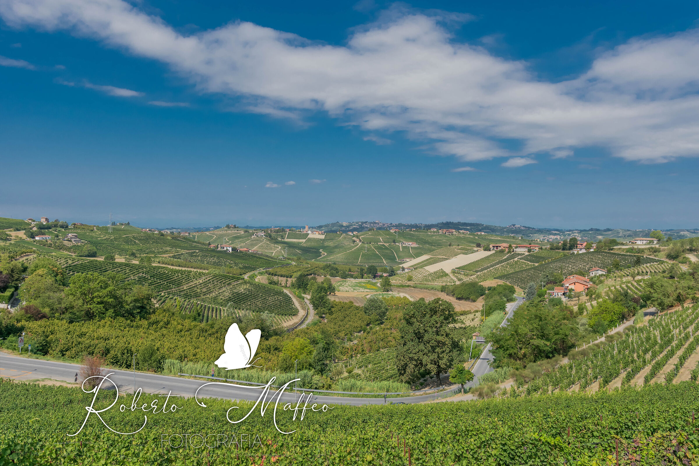 neive (cn) langhe