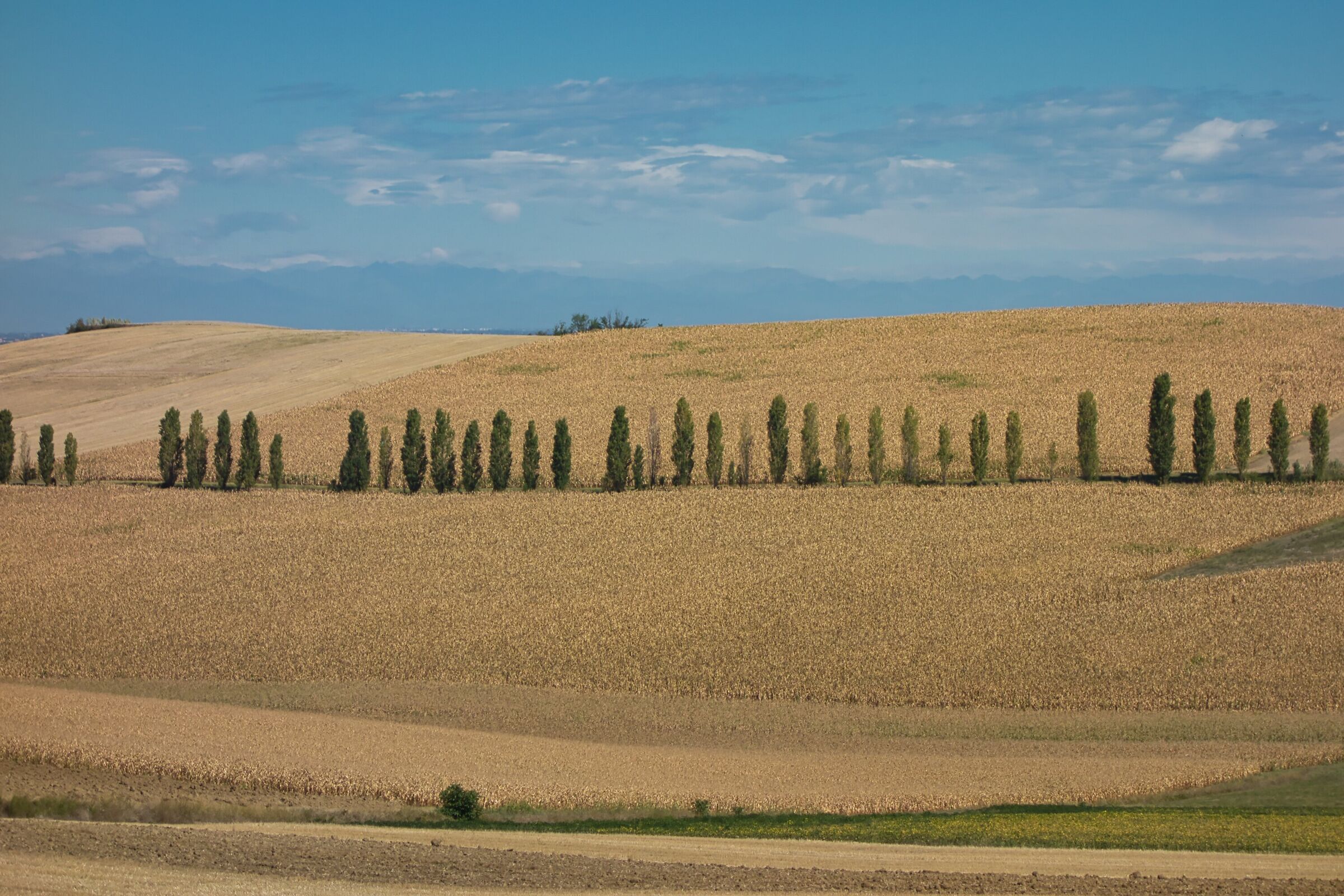 Monferrato: non solo uva e nocciole
