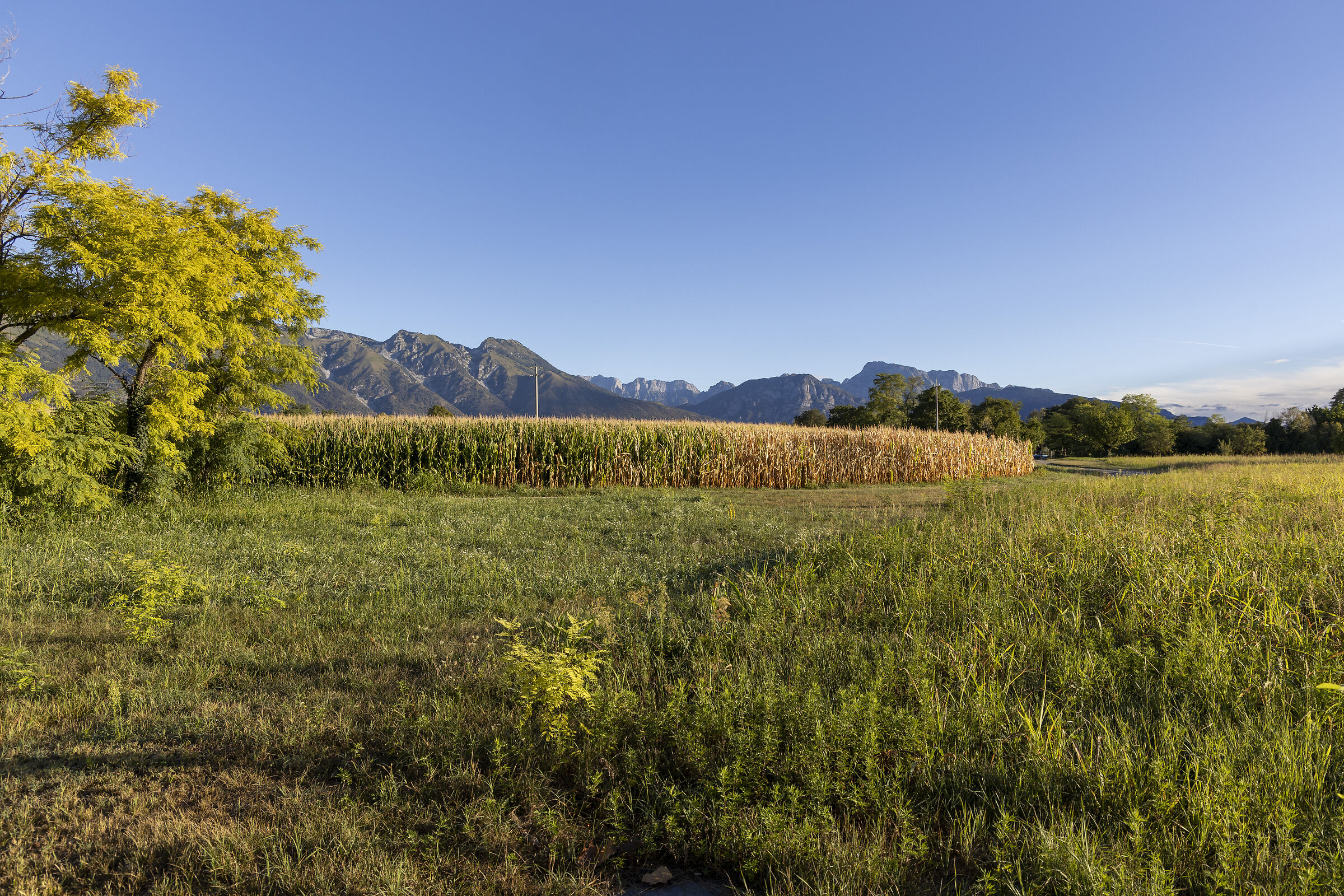 San Martino di Campagna