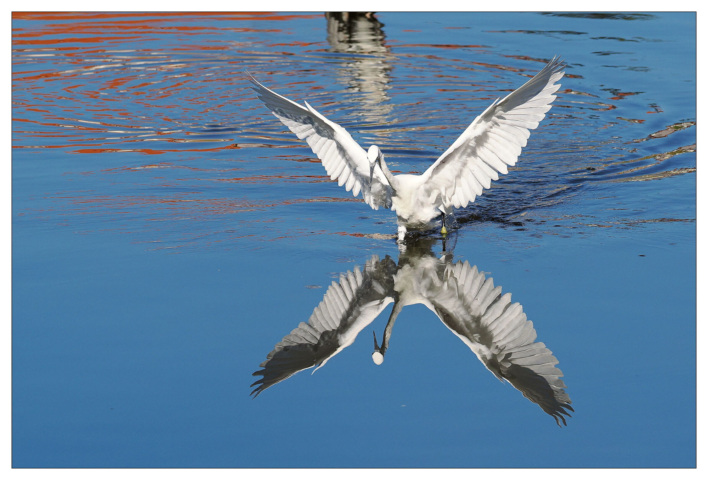 Reflections on the river