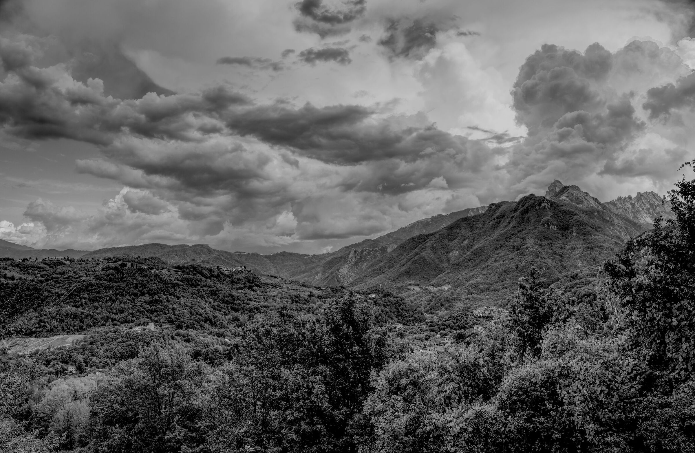 Untitled Photo