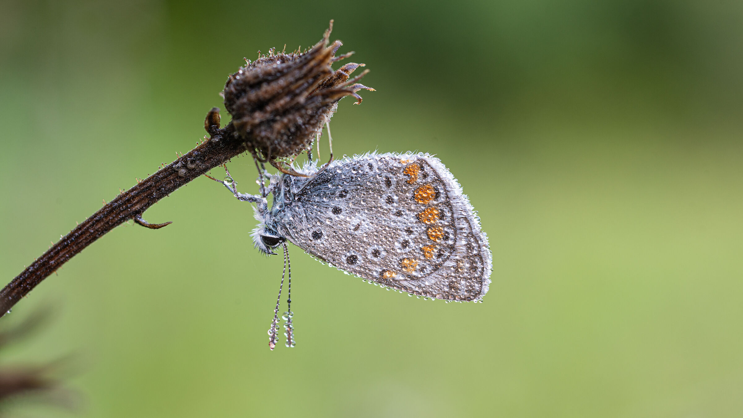 quanta fatica... per un singolo scatto.