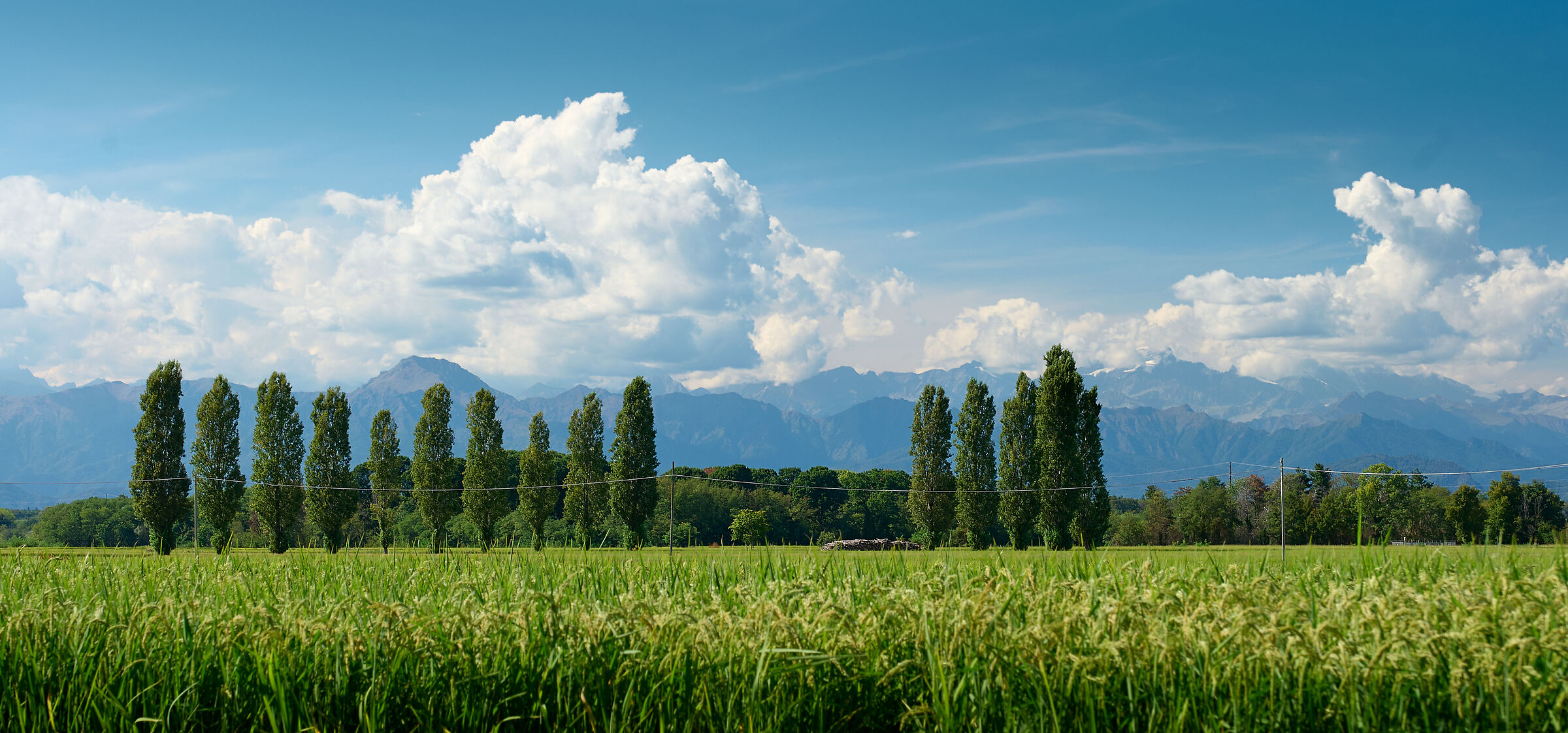 Campagna zona Briona