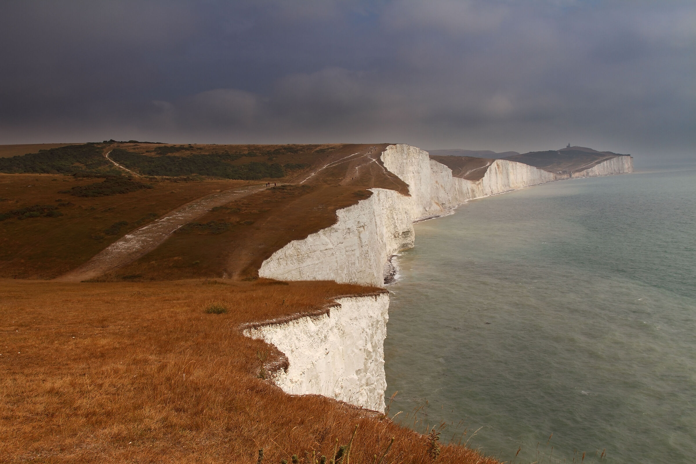 Seven Sisters thinking of Dr. Tangheroni