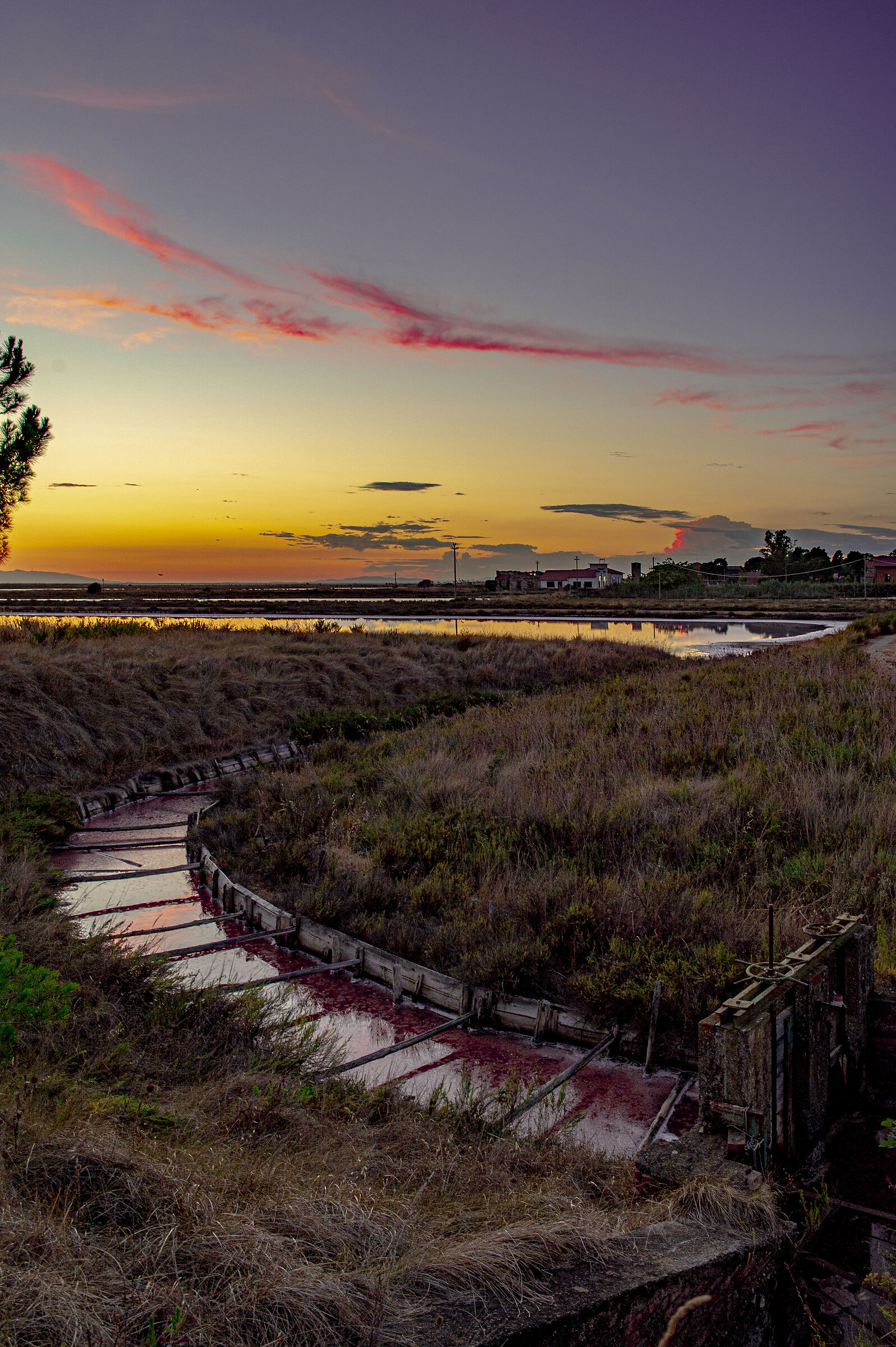oasis of the salt pans