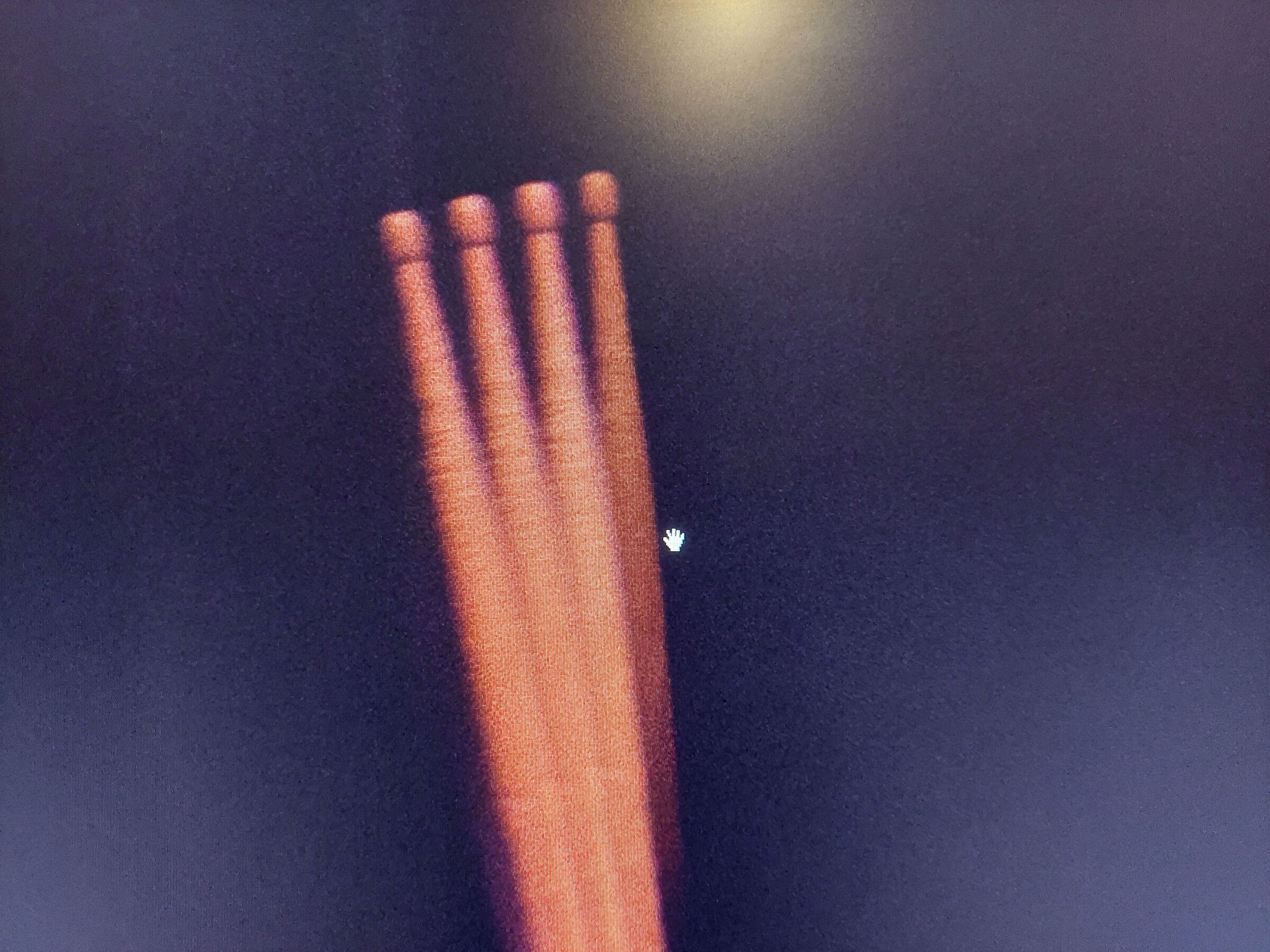chopsticks
