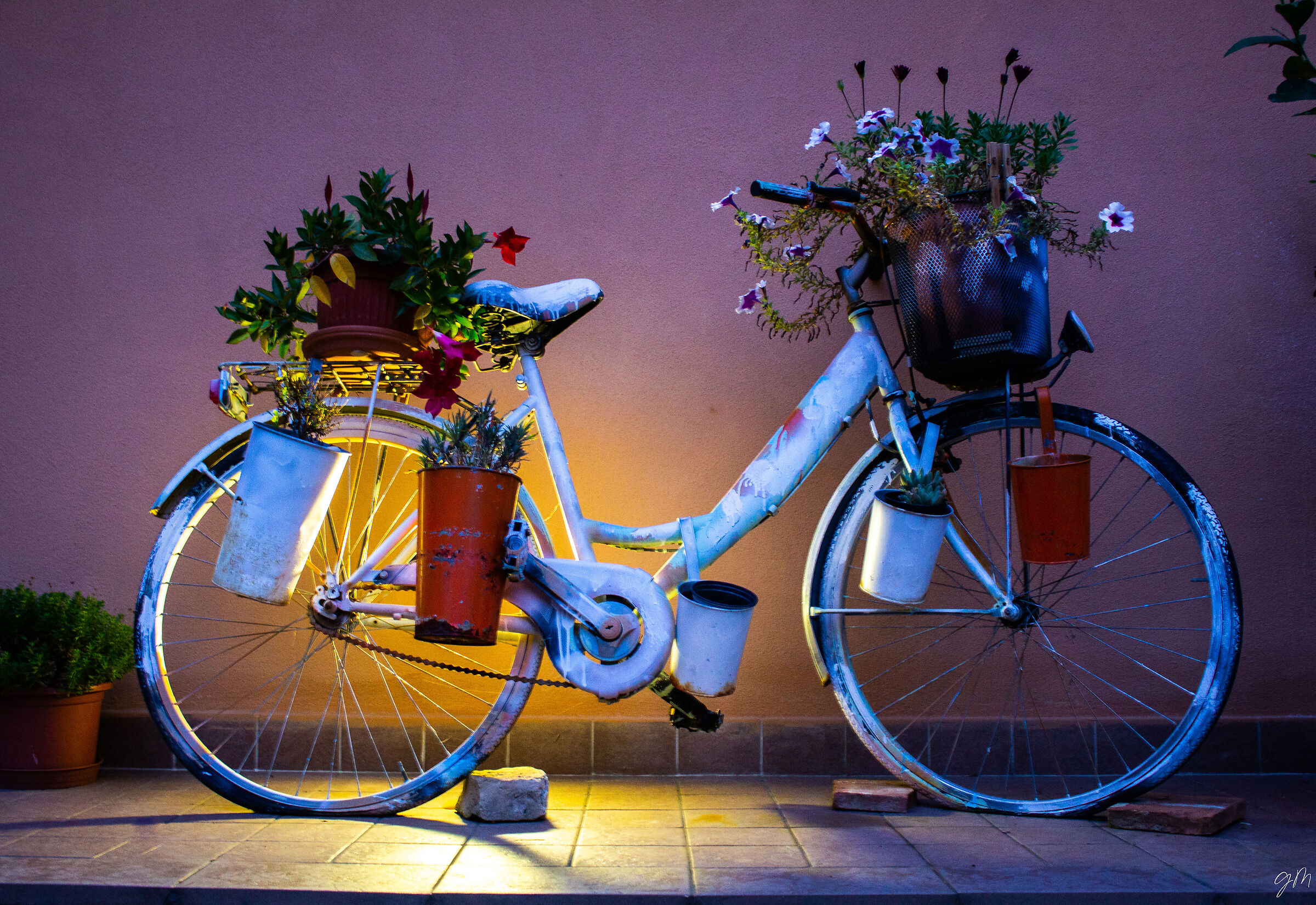 A beautiful bike