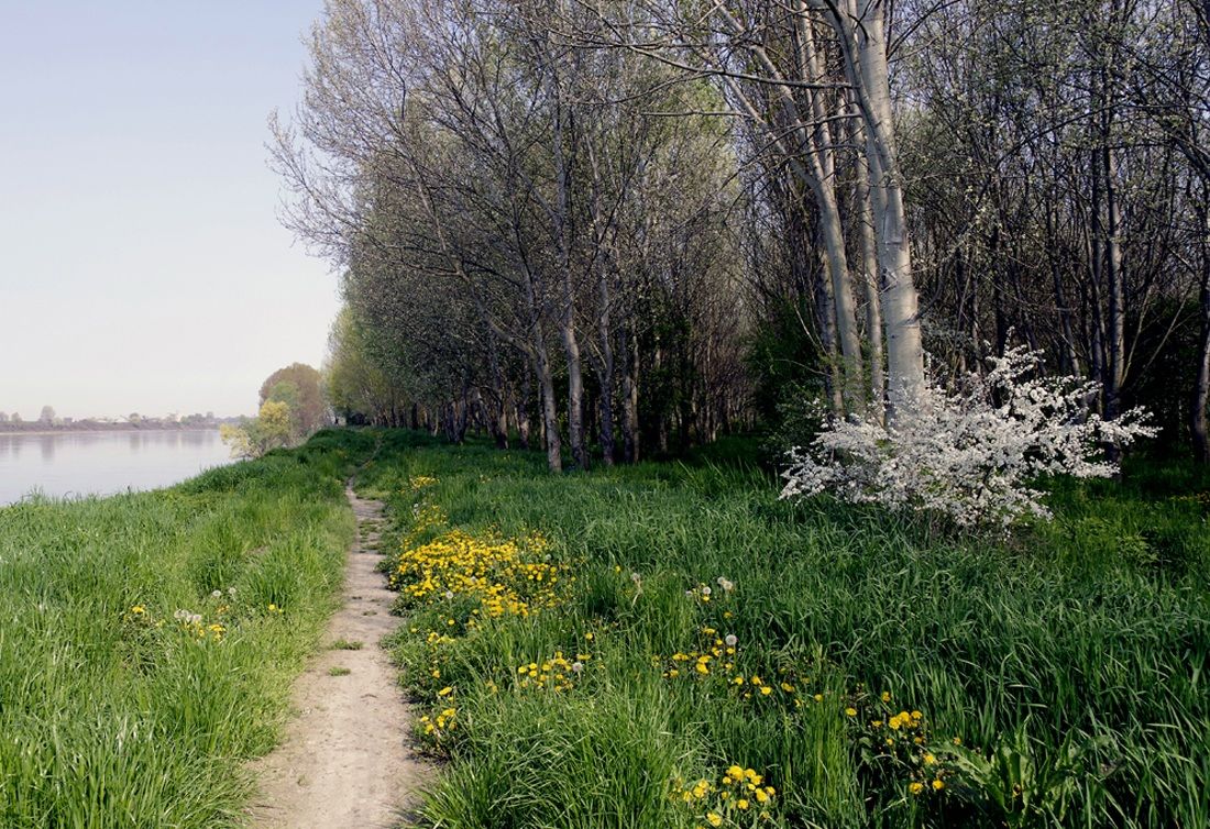 lungo il fiume