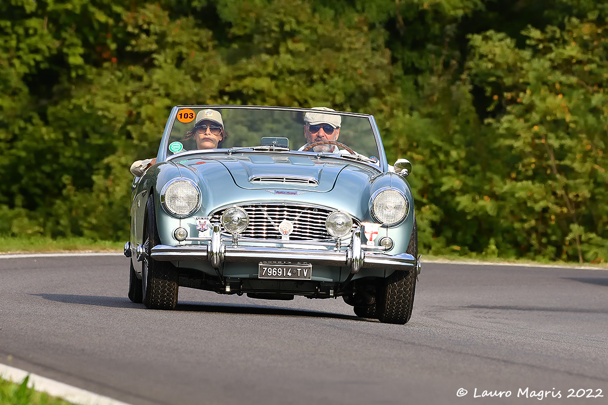 Austin Healey 3000 MK1 1960