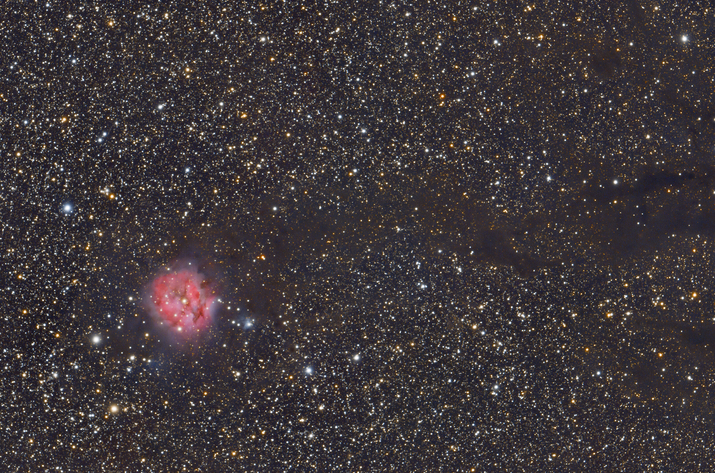 Cocoon nebula e polveri cosmiche