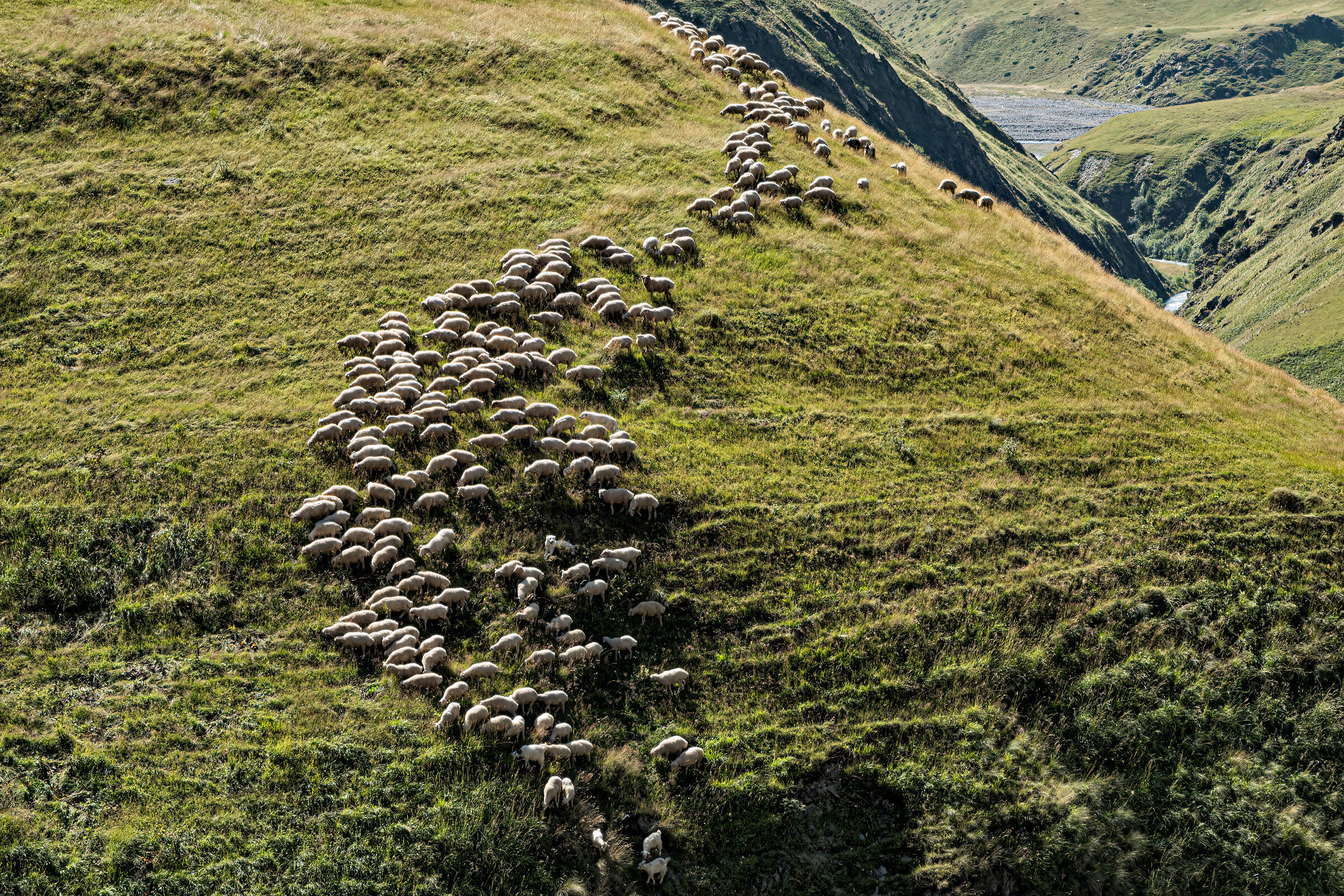 Valle di Kvakhidiskhevi