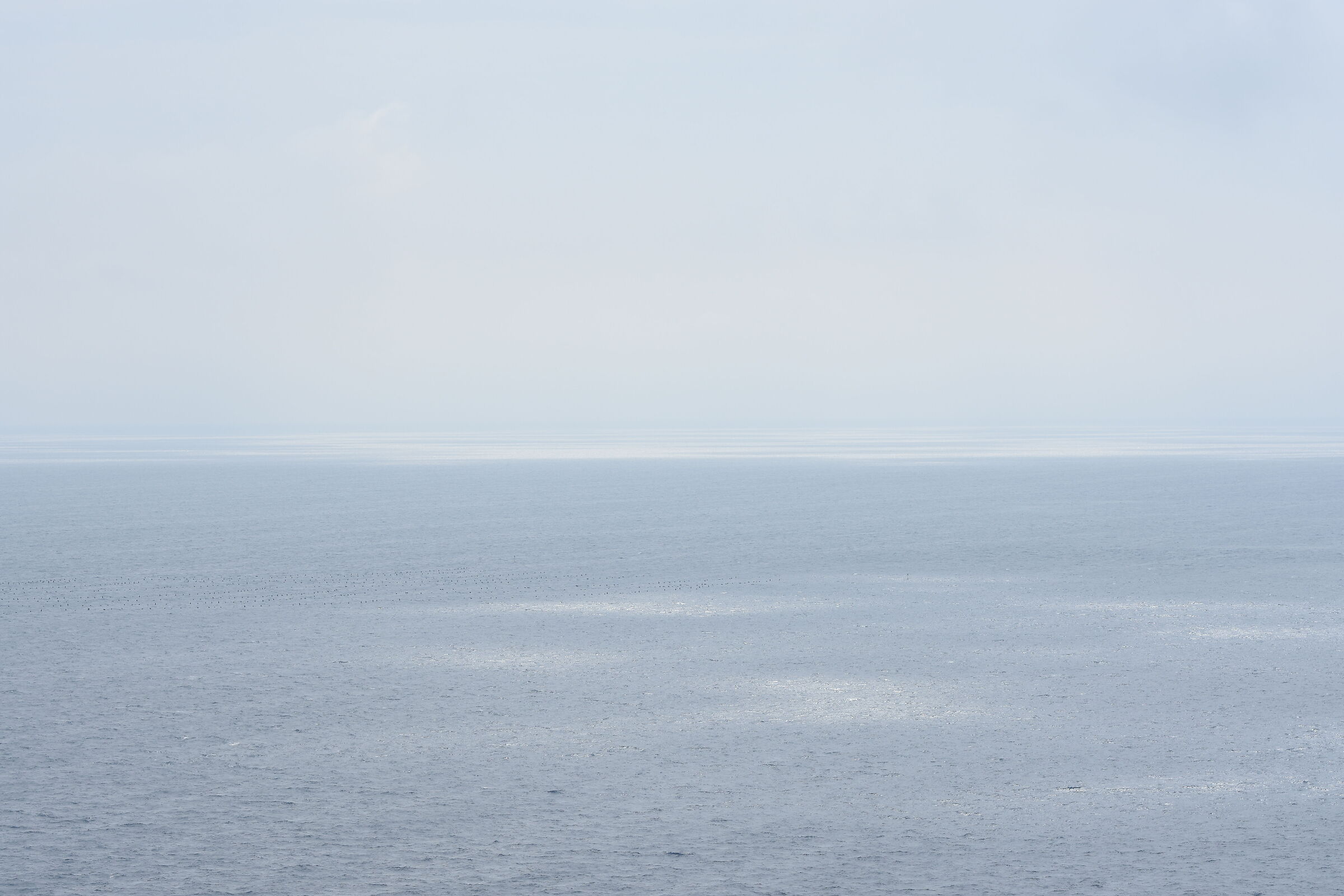 " 1/ 1.0 0 0 ", F. 5.6, ISO 125- Sigma 85, 1.4 Art