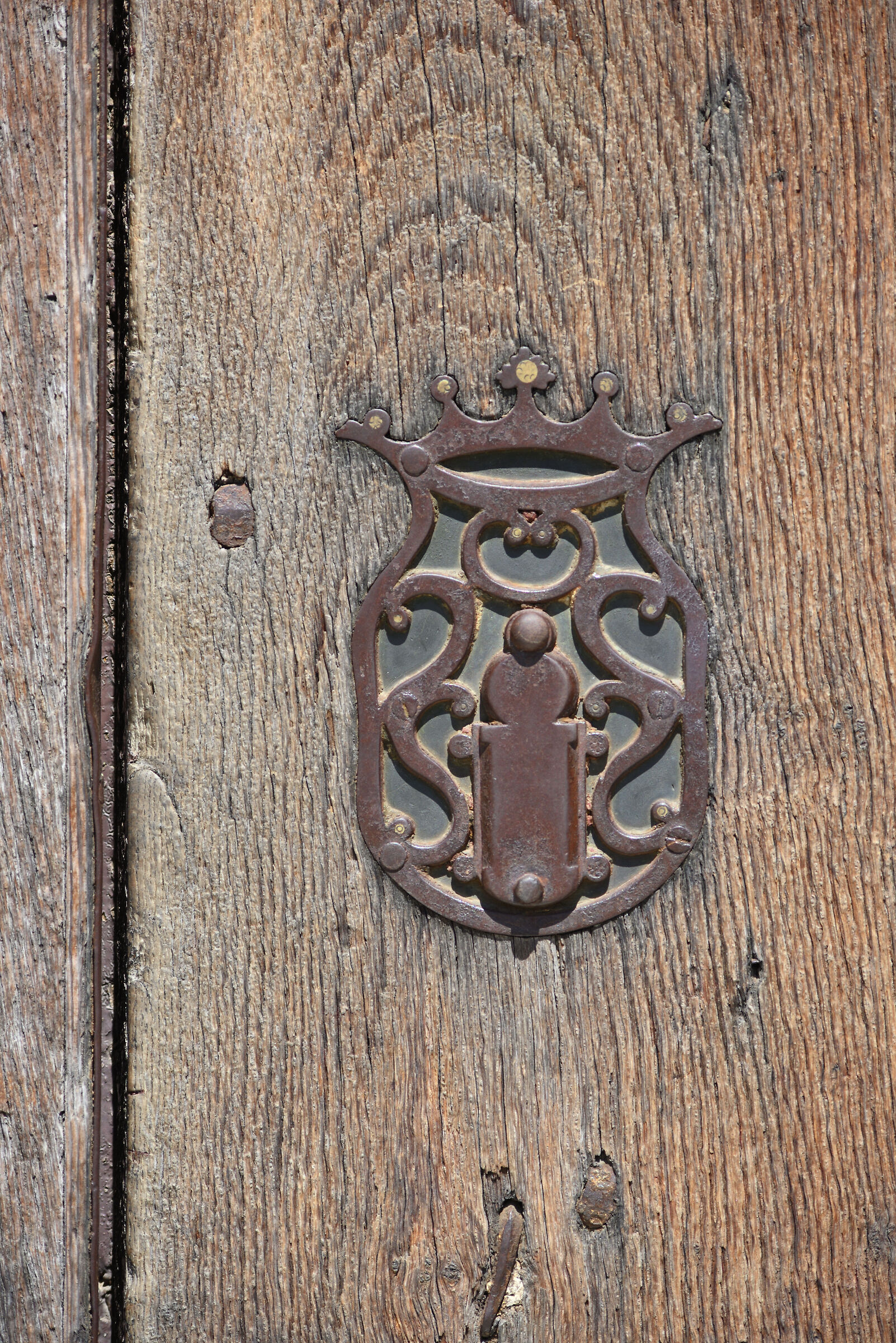 Test zoom Nikkor C car 80-200 -f 8 focal 200