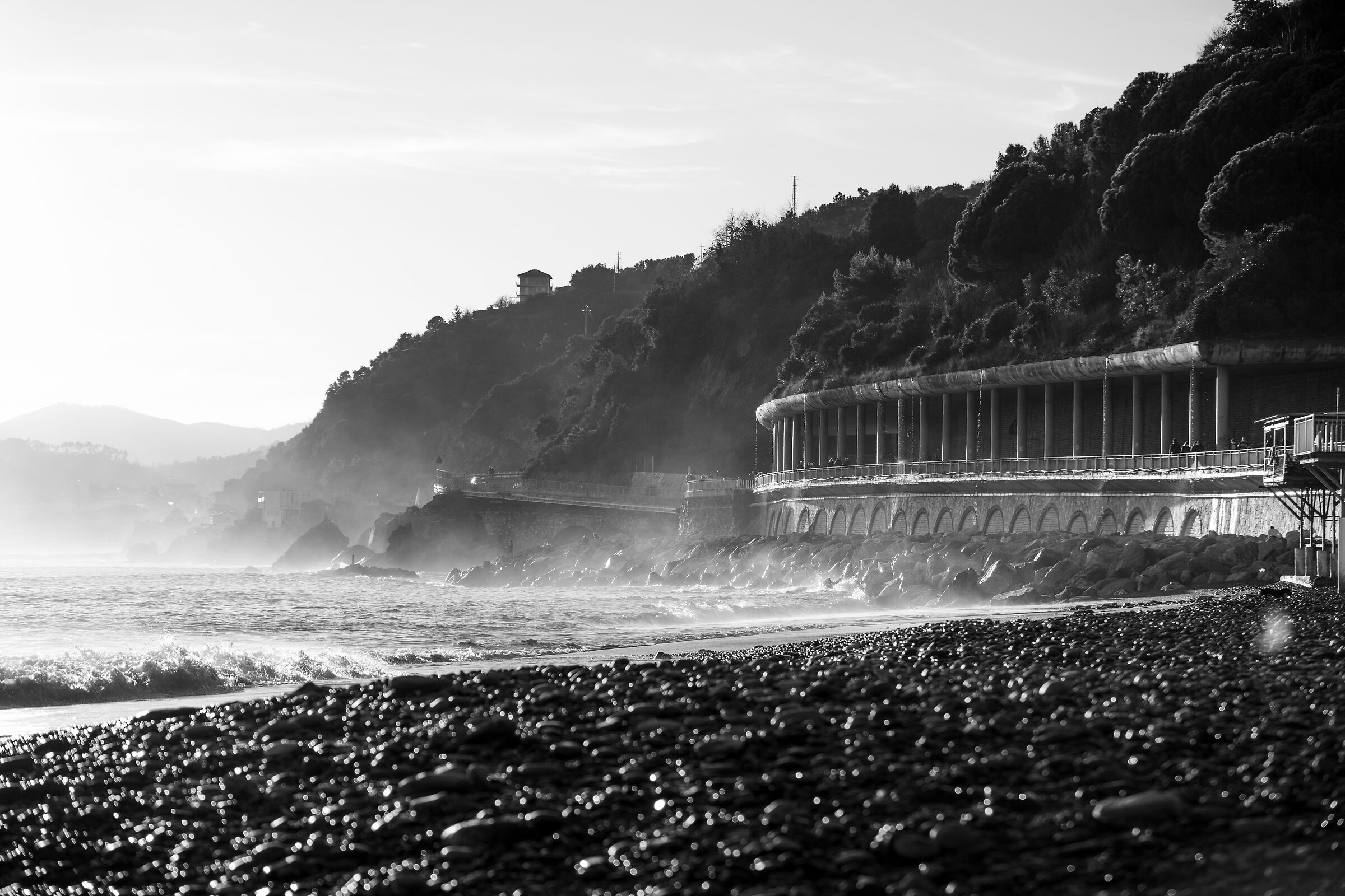Vesima