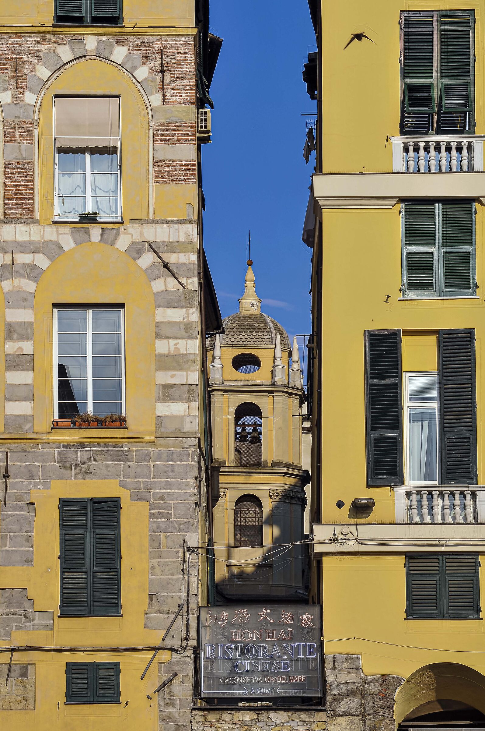 genoa 4