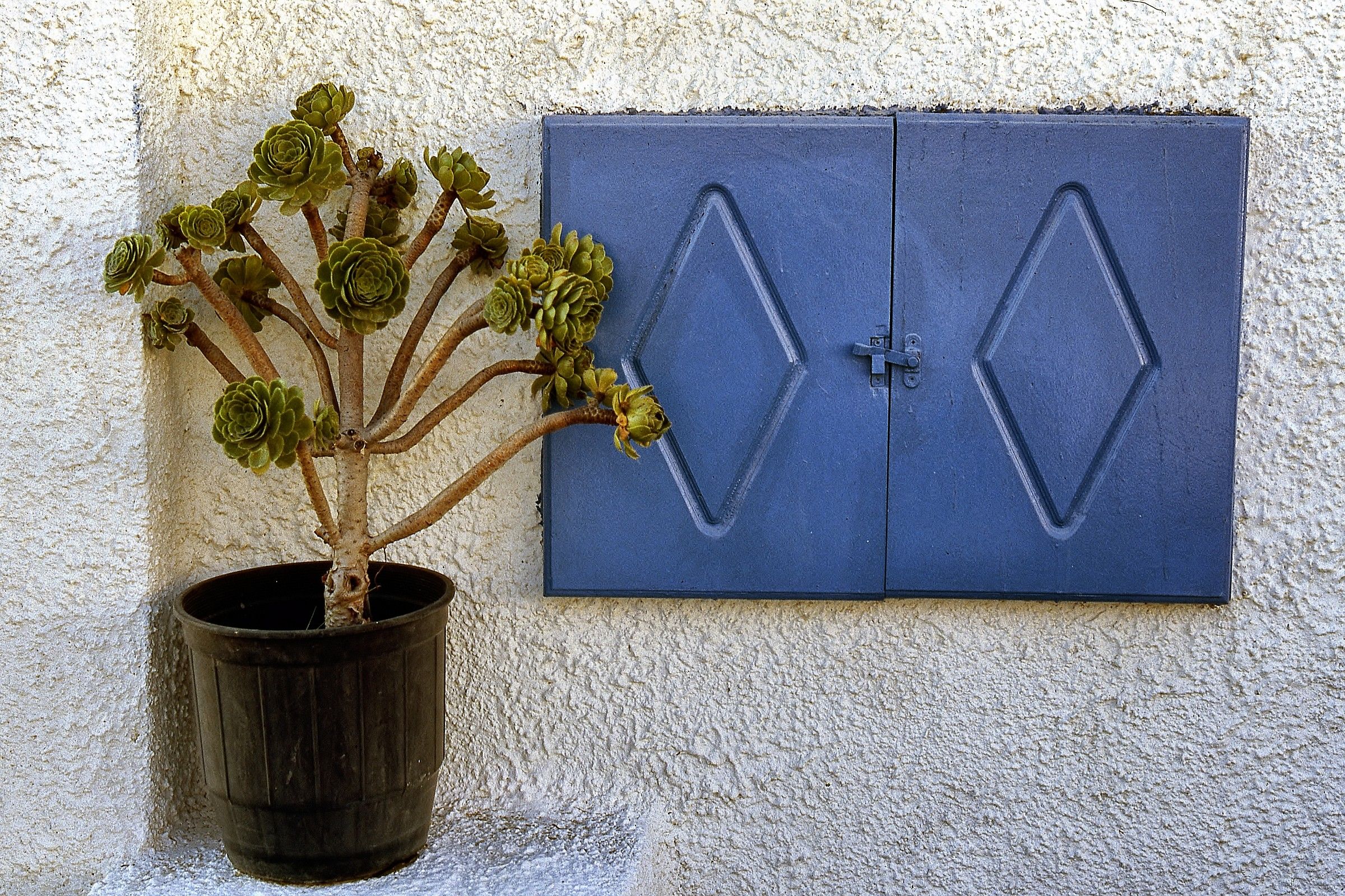 Il vivido bianco e le finestre colorate...