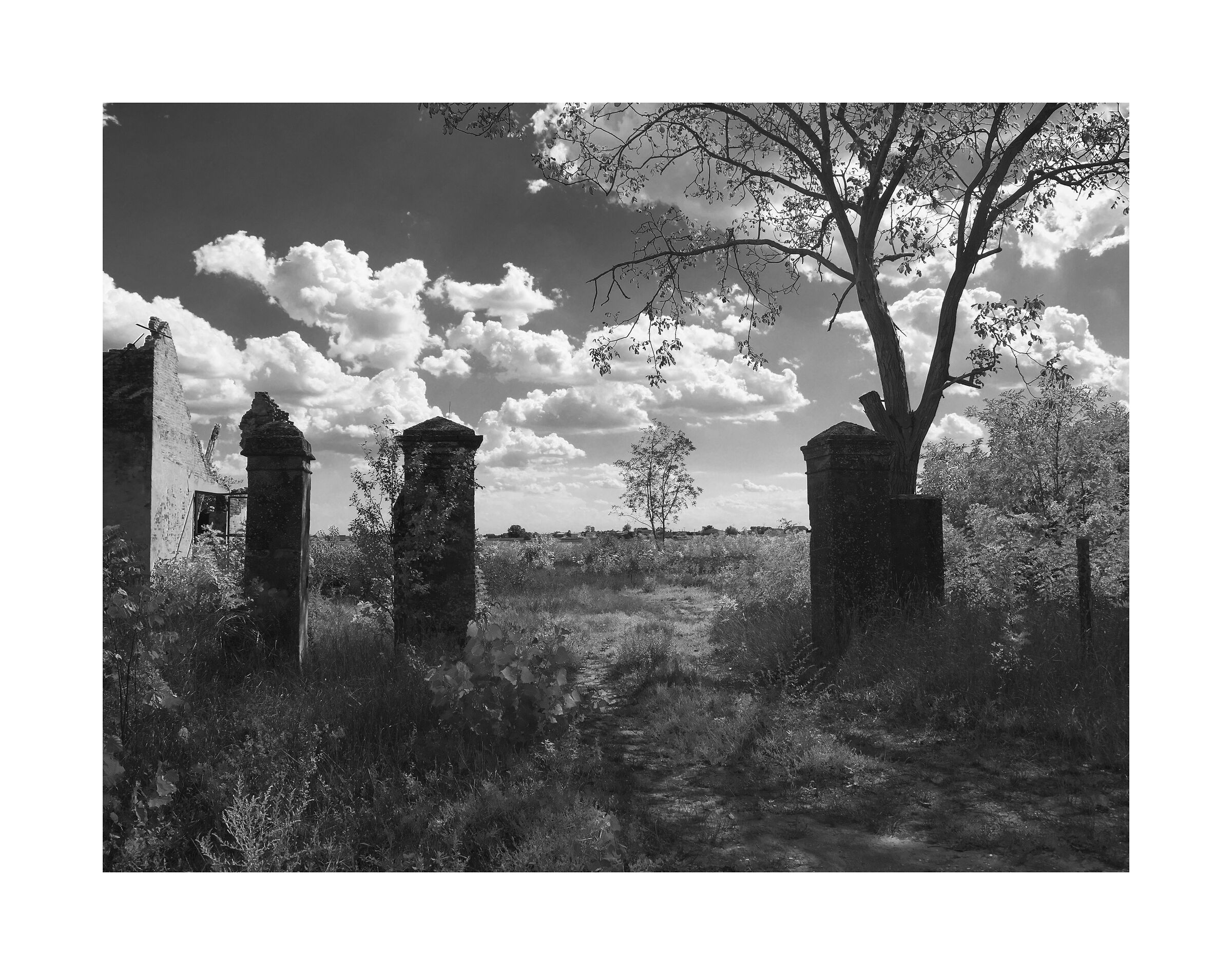 At the gates of a dream