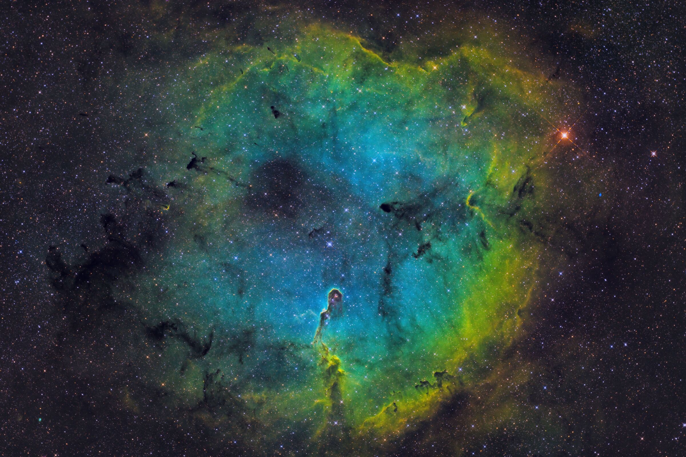 Nebulosa Proboscide di Elefante (sho)
