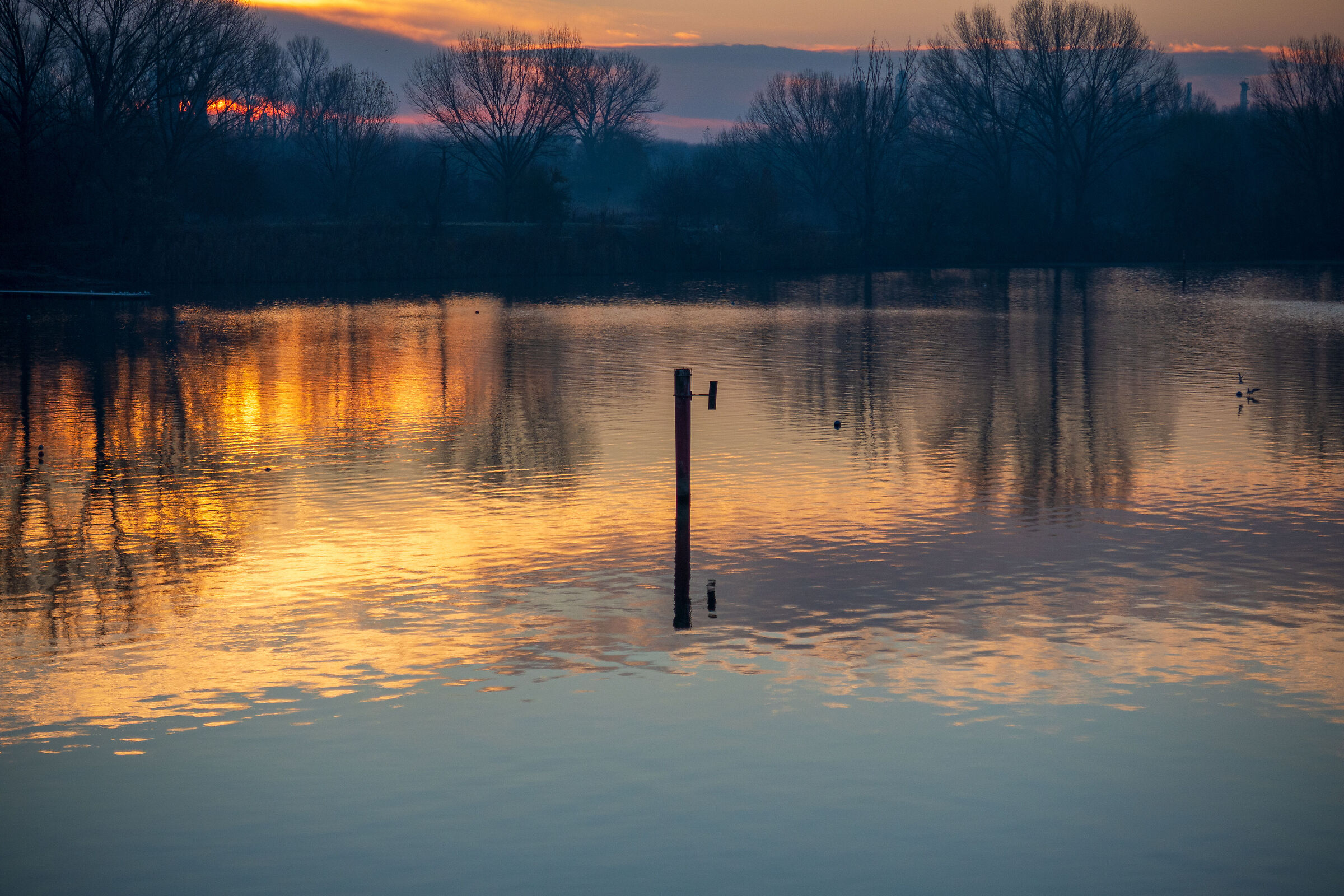 la chiamano l'ora d'oro