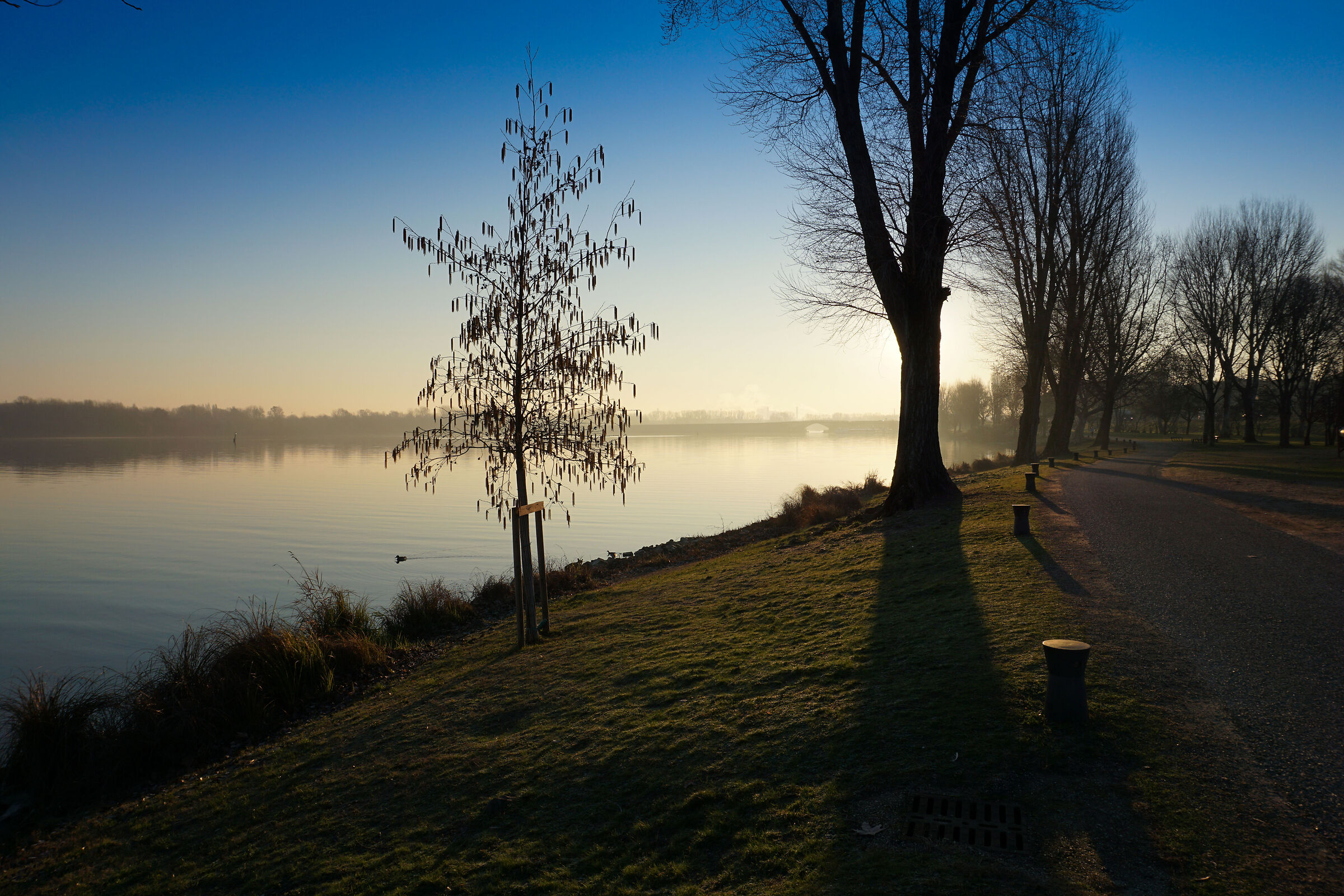 Morning promenade on Middle Lake
