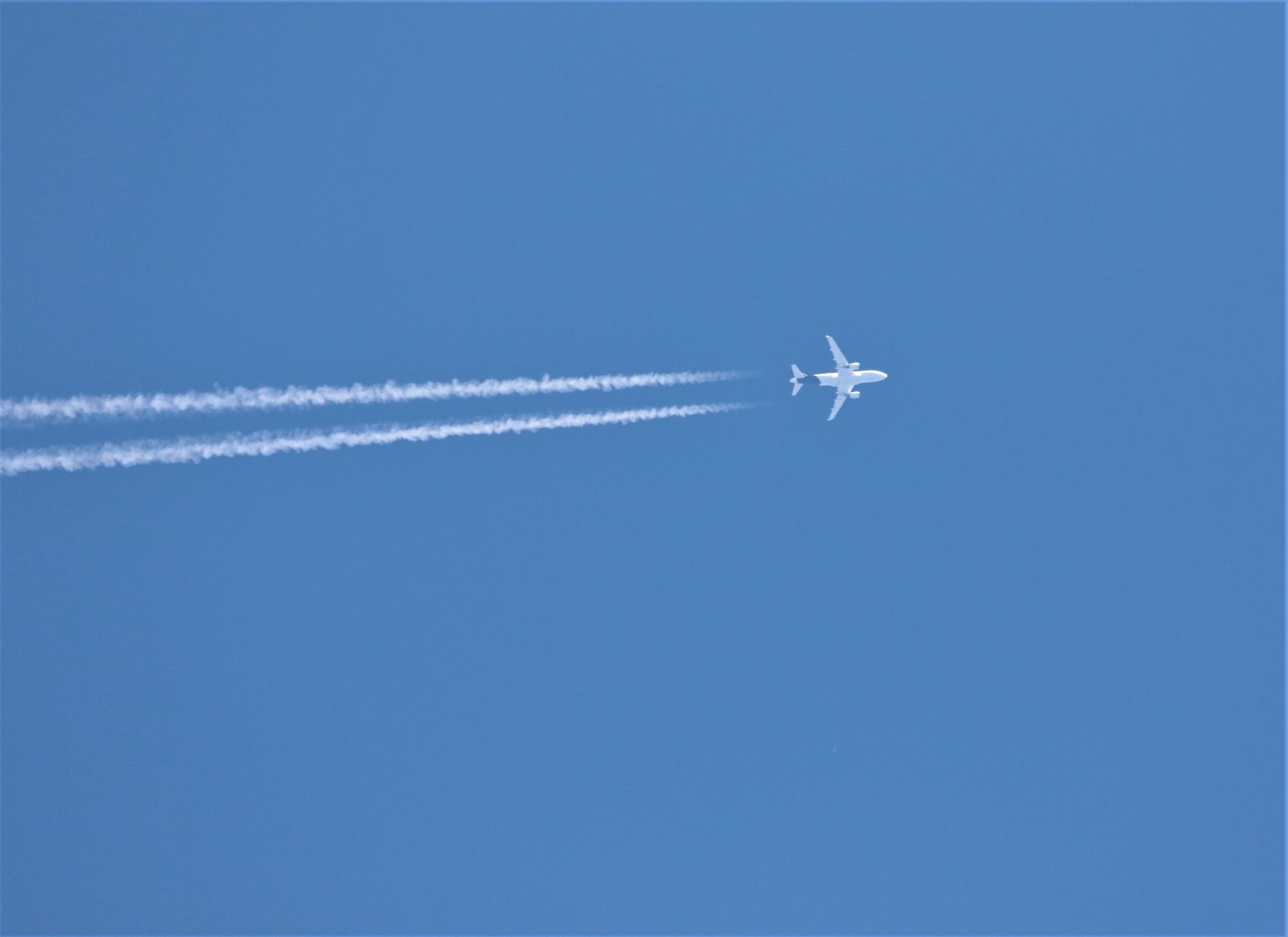 mom I missed the plane