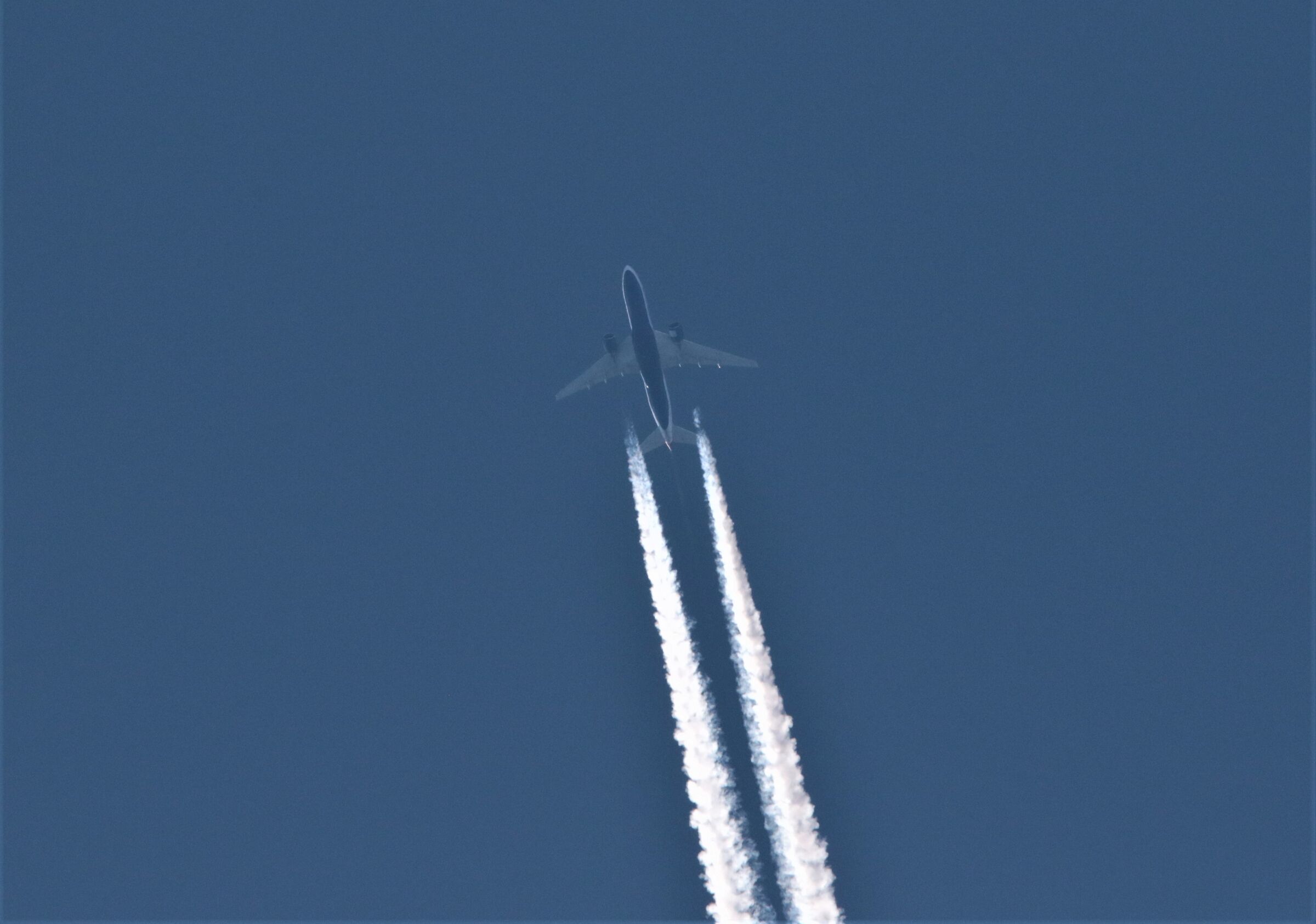 mom I missed the plane