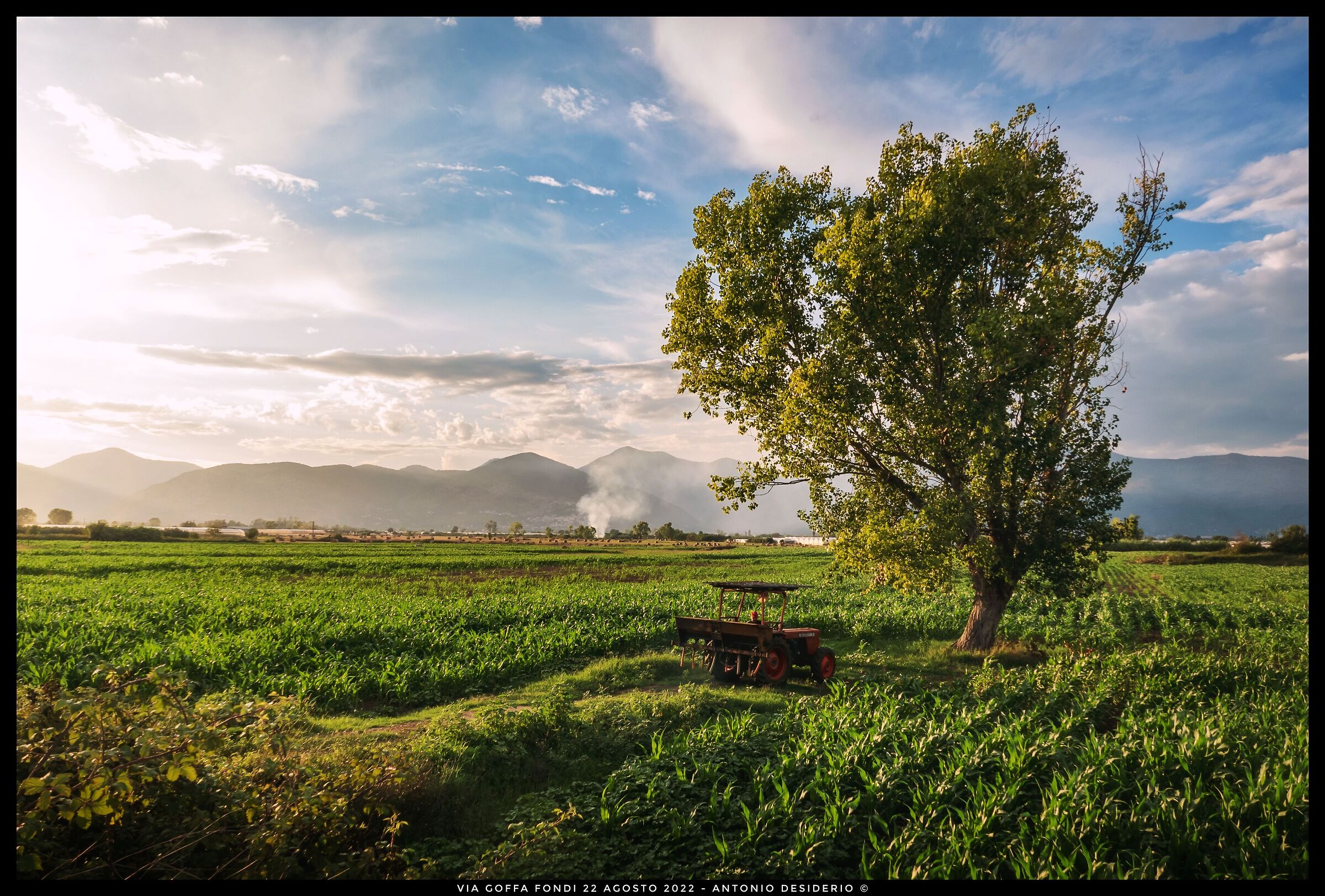 A late summer afternoon...