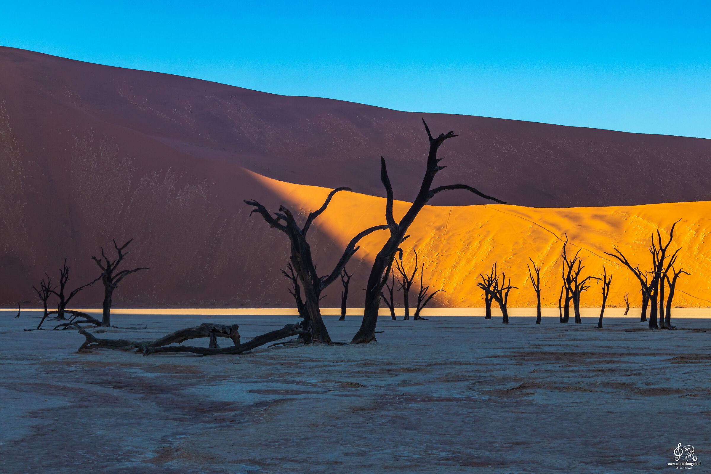 Deadvlei