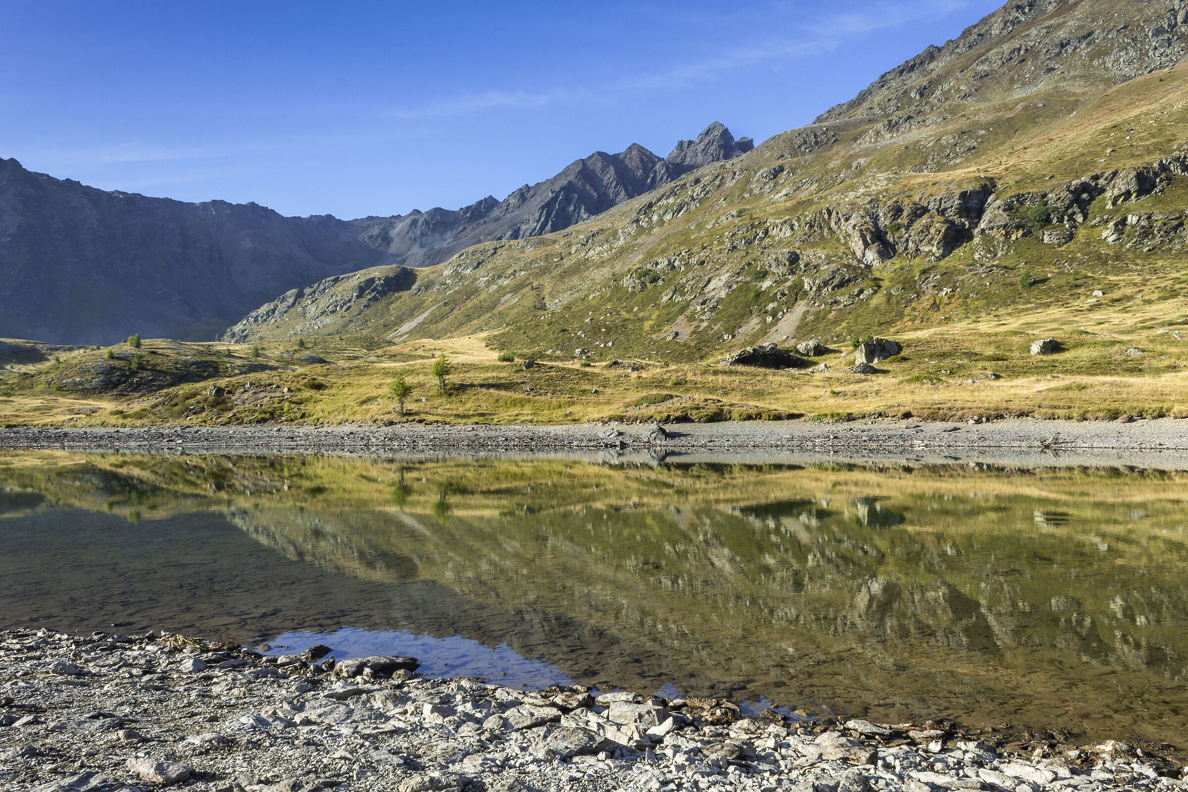 Alpine pond