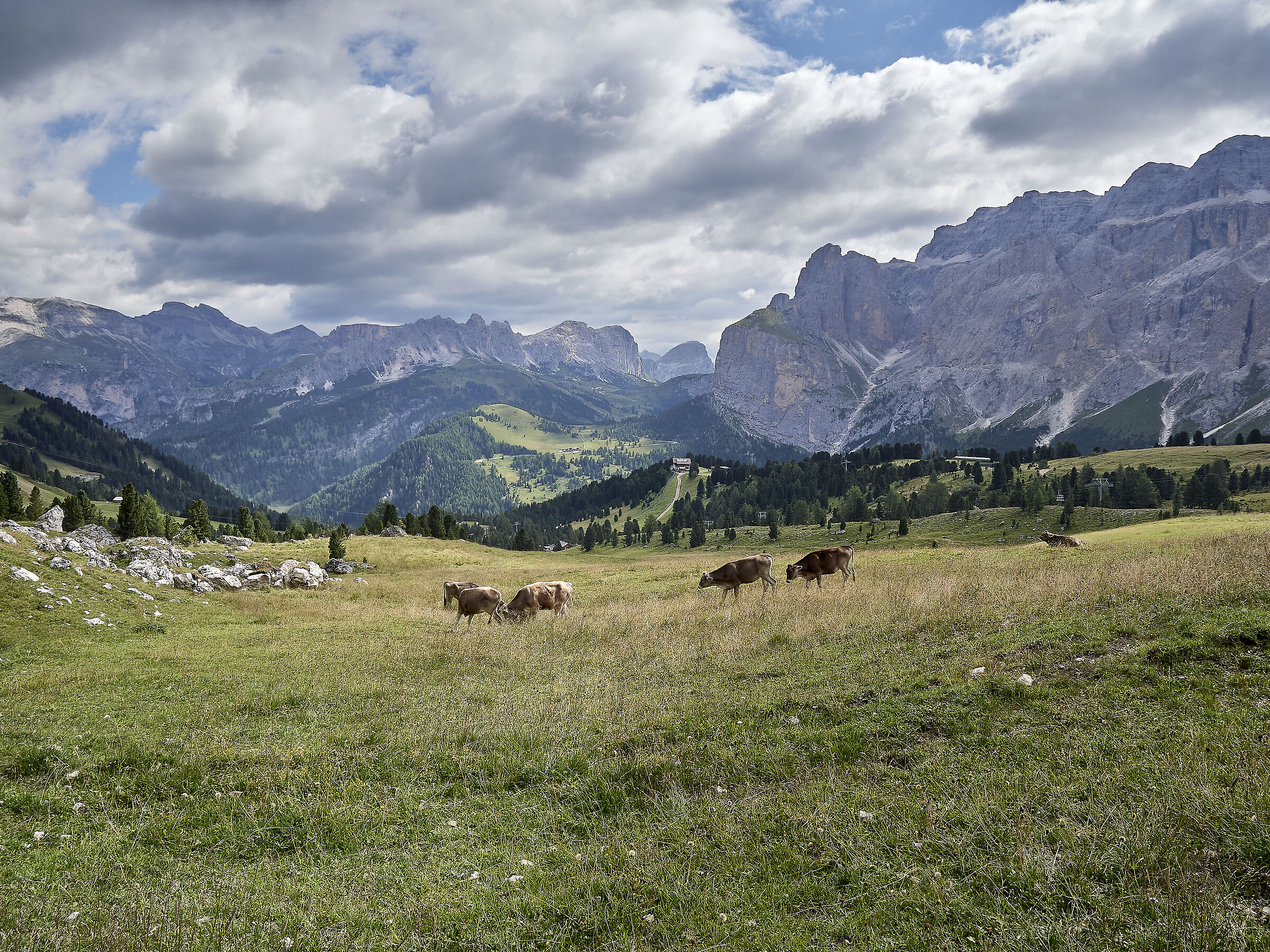 Panorama della Val Gardena dal Passo Sella