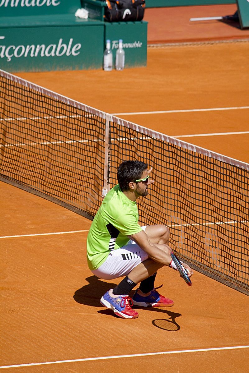 Tipsarevic at the net ..
