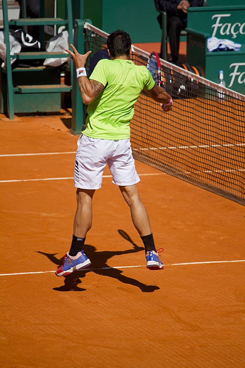 Tipsarevic volleys