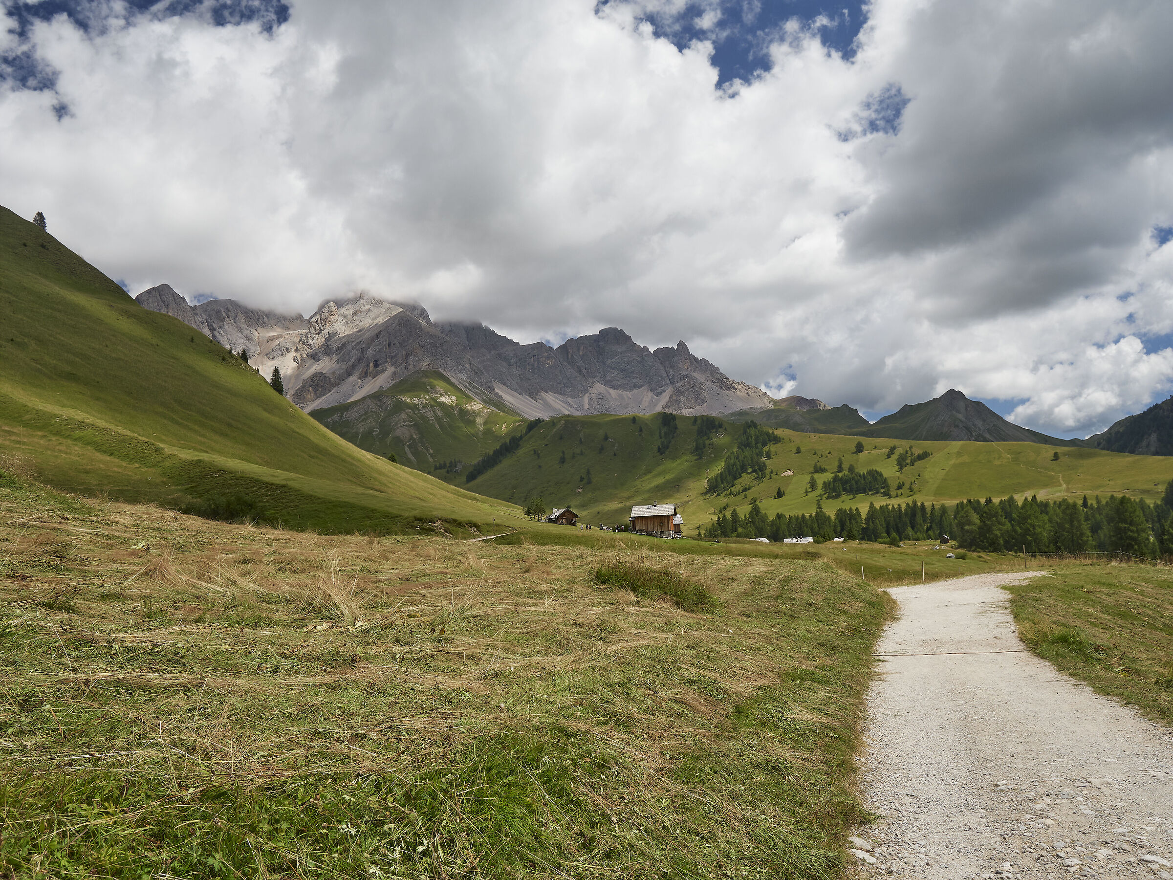 La valle del Fuchiade ed il Pecol sullo sfondo