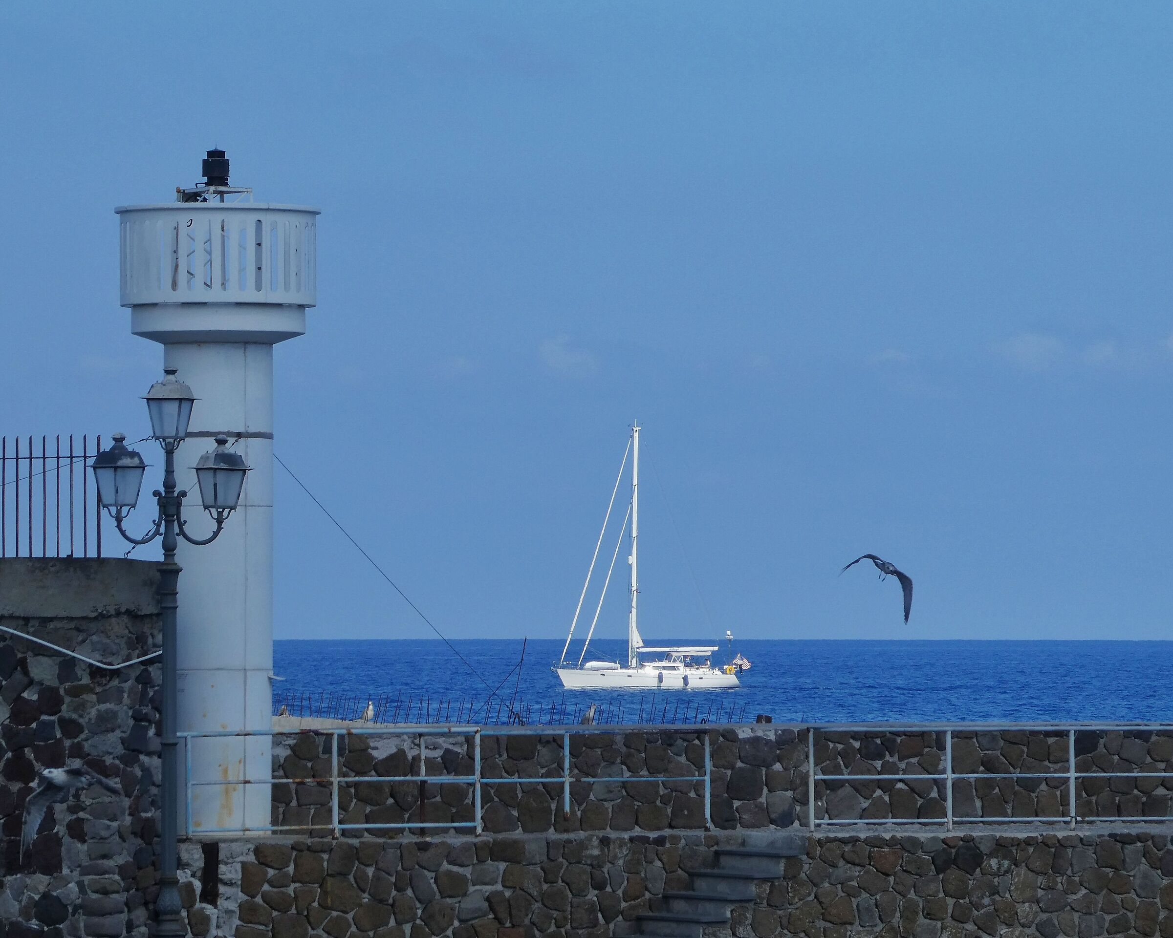 il gabbiano del faro...