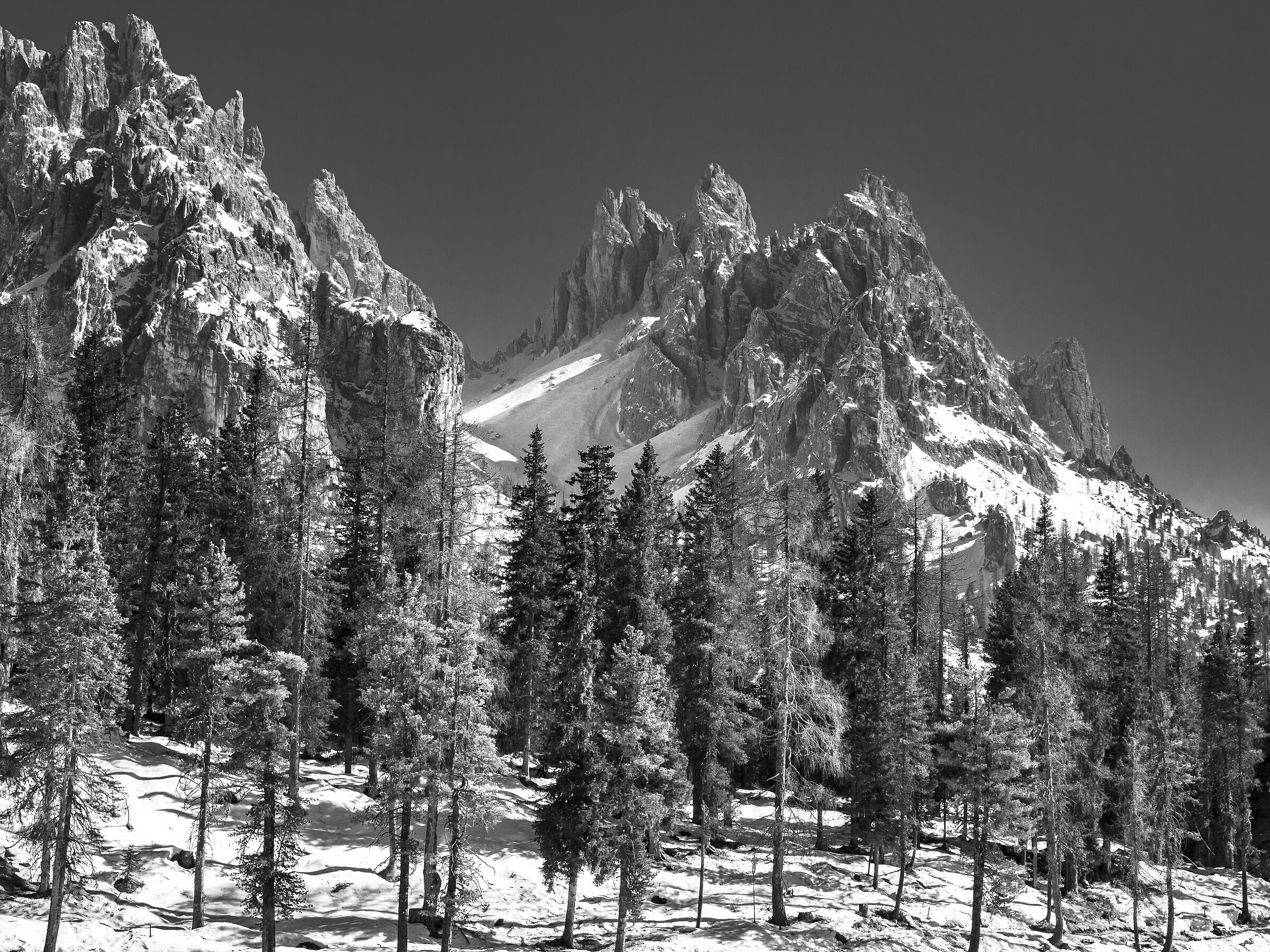 Winter picture frame