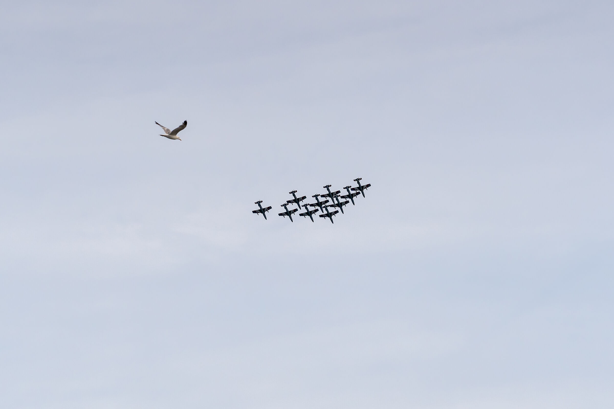 Nel cielo di Lignano Sabbiadoro