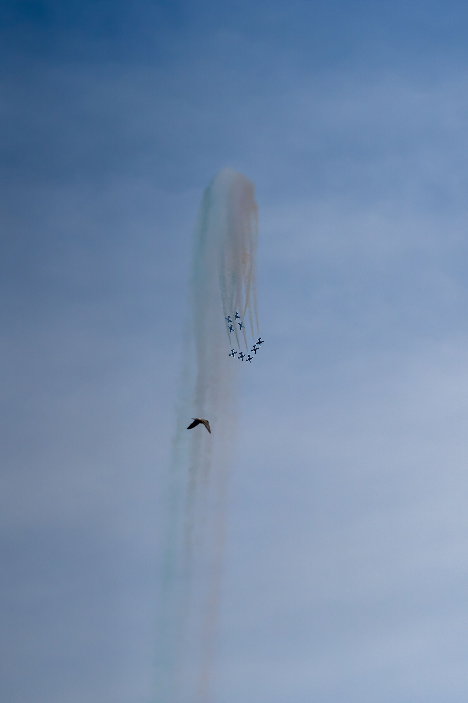 Nel cielo di Lignano Sabbiadoro