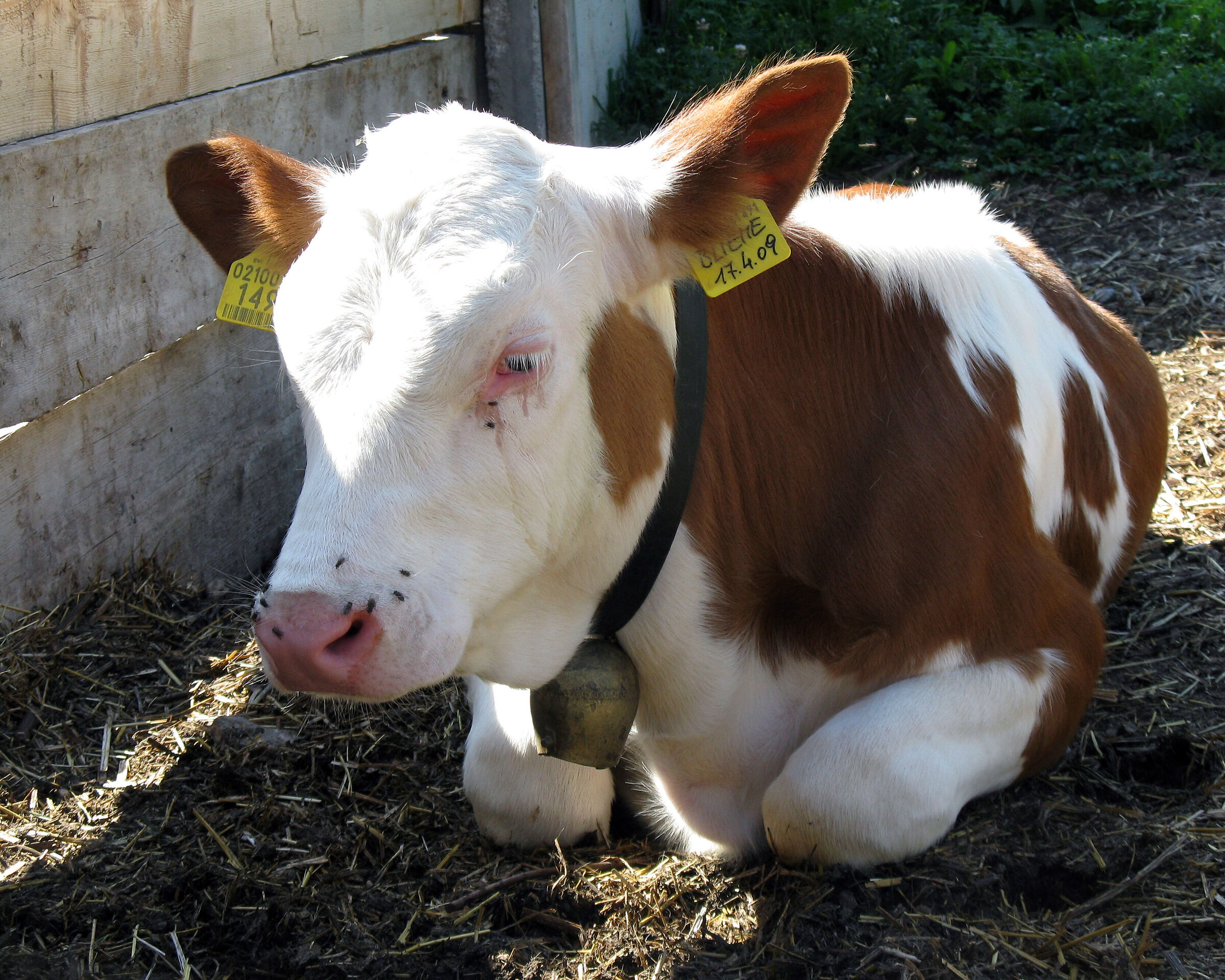 Che noia, mai niente di nuovo