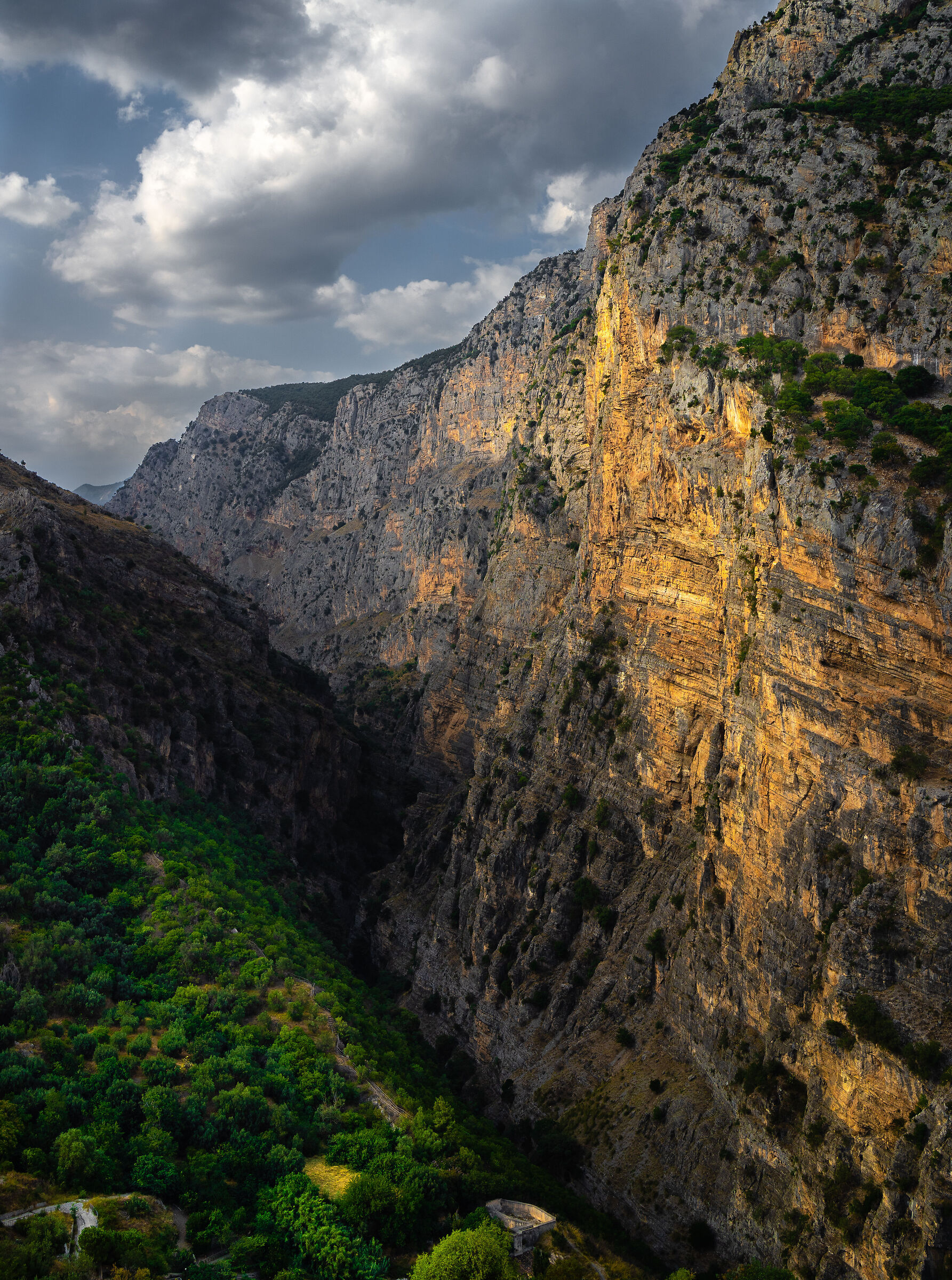 Monte d'Or v2